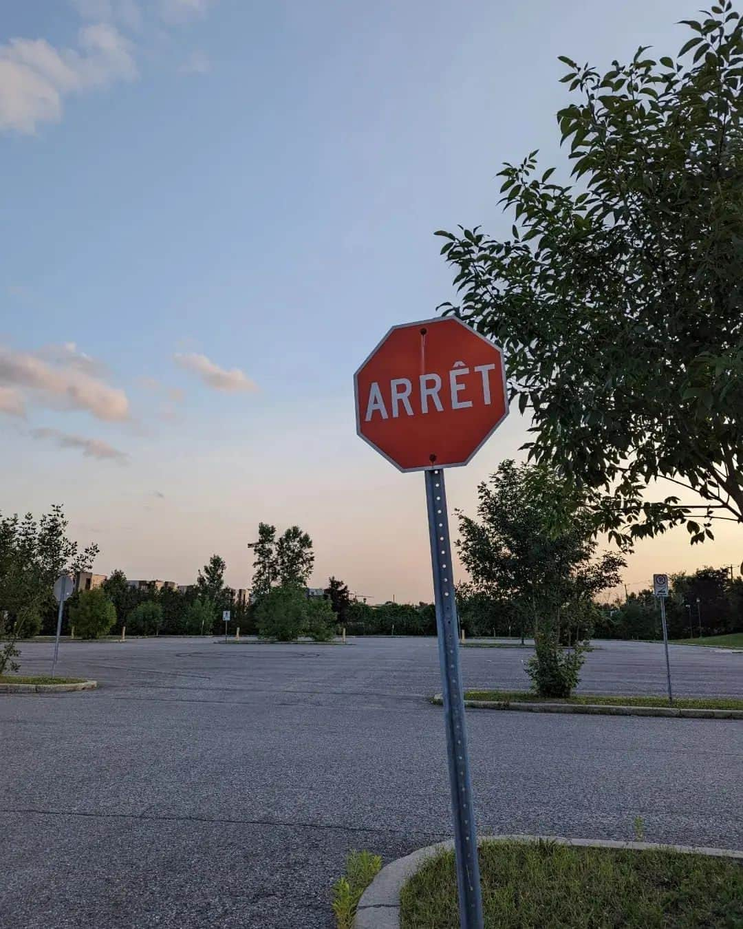 アシュリー・レガットさんのインスタグラム写真 - (アシュリー・レガットInstagram)「Had the very best time filming this movie in Ottawa. I feel so blessed to have worked with so many talented, smart, FUN, and kind people. Here are just a few behind the scenes shots. I can't wait to be back with you all again 🎥🍿」9月11日 10時19分 - ashleyleggat