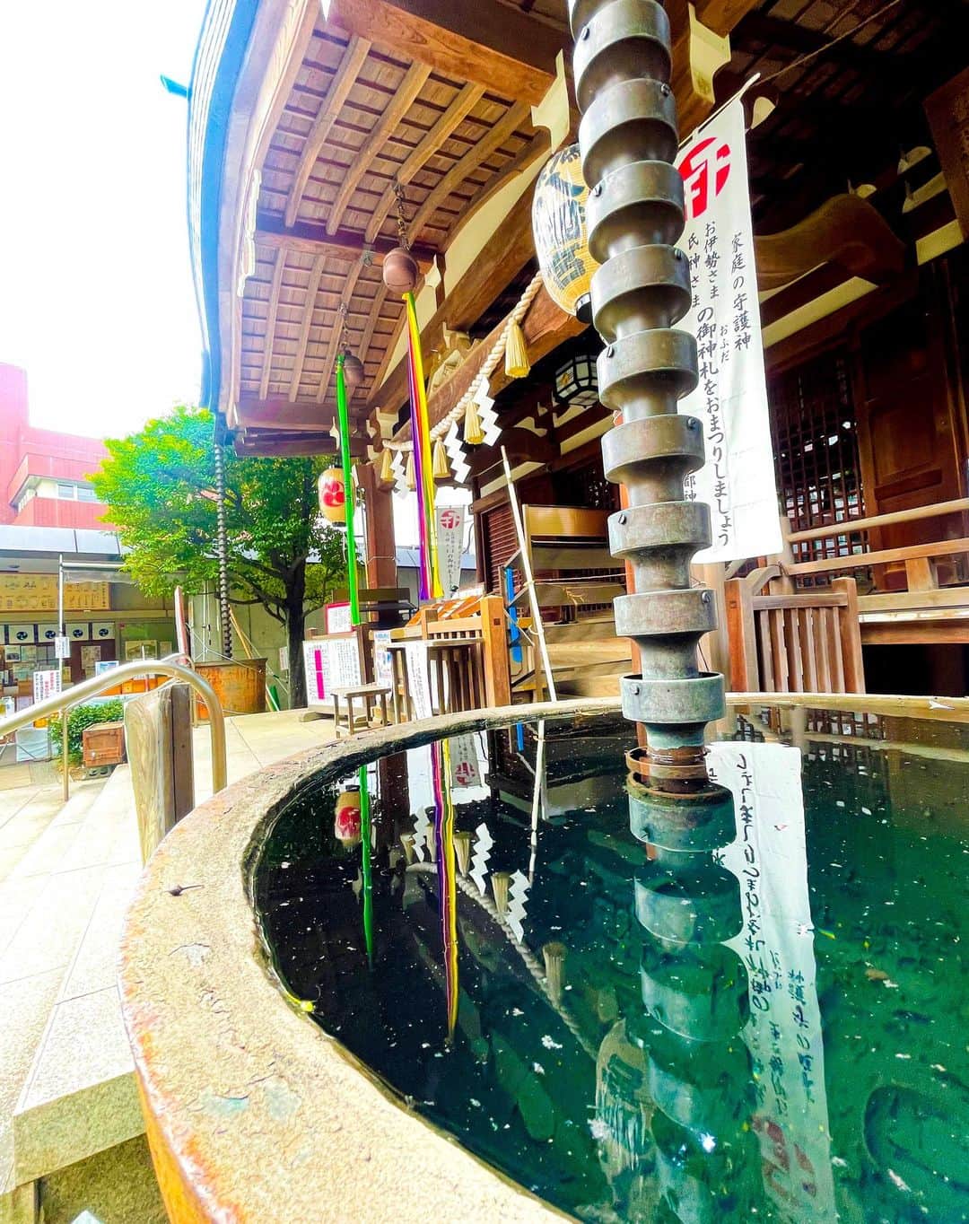 龍円愛梨さんのインスタグラム写真 - (龍円愛梨Instagram)「大好きな神社の境内を散歩しました。皆様も素敵な月曜日を！！」9月11日 10時49分 - airi_ryuen