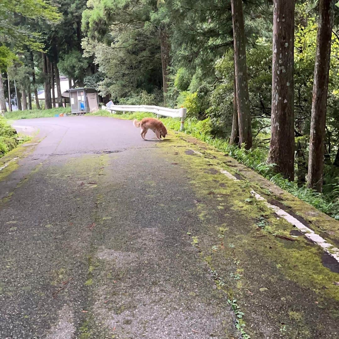 ほのら Kittyのインスタグラム：「日常」