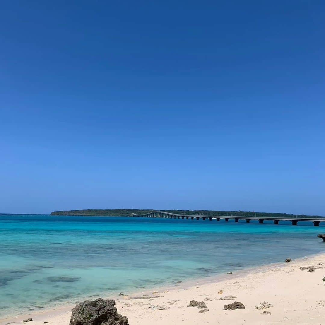 森末慎二のインスタグラム：「🦐みやーく商店です。  今日も宮古島は晴れ☀時々曇り☁気温31度、微風、暑いです🔥熱中症に気をつけてください。  お店は通常通りの営業です。 宮古島産車海老🦐天丼食べに来てください。皆さんのお越しをお待ちしています。  お店電話番号  0980-79-9292 田中店長　070-8429-7387 お昼ランチはオープン11:30〜14:30ラストオーダー15:00です。夜の🏮居酒屋は17:30から21:00です。予約のお電話お待ちしています。定休日は水曜日、木曜日です。#みゃーく商店  #宮古島 #天丼 #宮古島野菜 #宮古島ランチ #宮古島グルメ #車海老 #グルクンの天ぷら #宮古島ごはん #宮古島天丼 #宮古島海老天丼 #沖縄天丼 #海老天丼 #海老 #島食材 #沖縄宮古島 #沖縄 #パパイアの天ぷら   #車海老天丼  #okinawa #居酒屋#miyakojima #森末慎二 #morisue shinji #TUBE #前田亘輝 #BEGIN  #サザンオールスターズ  #松田弘」