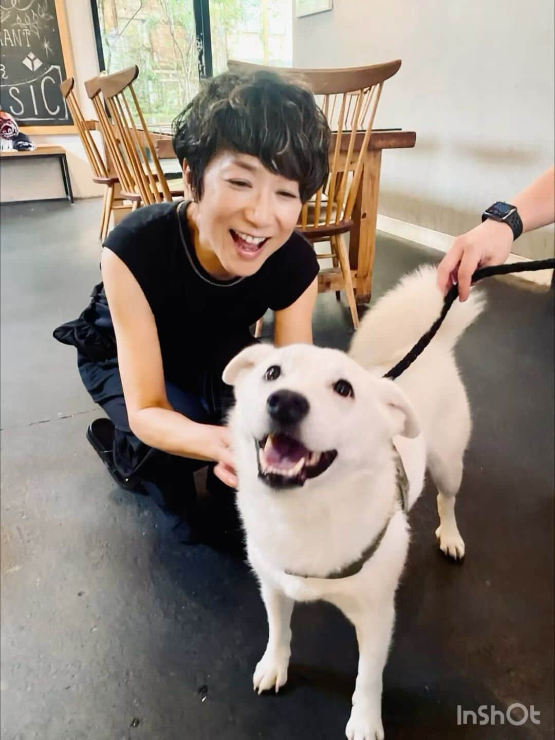 黒田知永子のインスタグラム：「. 娘のお友達のわんこ達に会えました🐶 一緒に写真を撮りたくて迫る私です。 みんな可愛い🩵  あ〜楽しかった🐾  #あらしくん #和尚ちゃん #ジジ蔵　 #黒田知永子 #chiekokuroda」