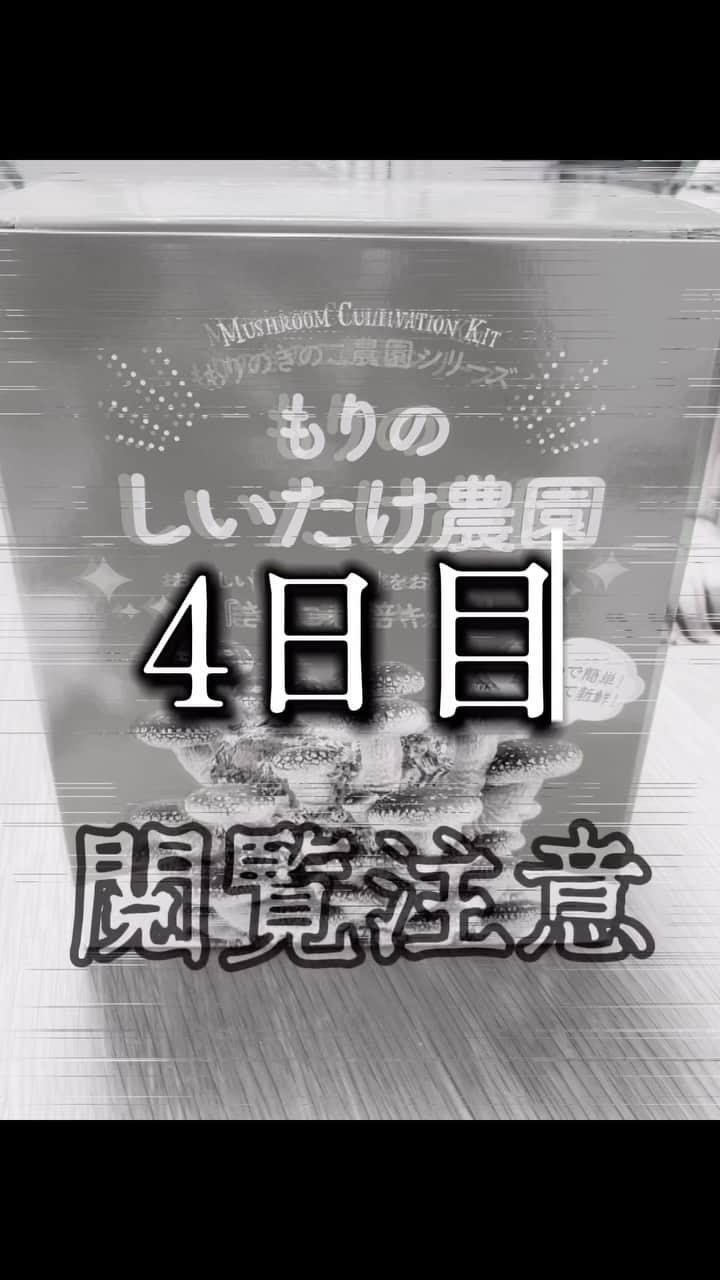鈴木りんだのインスタグラム：「4日目です。#椎茸栽培 #嫌いな物を克服しよう計画」
