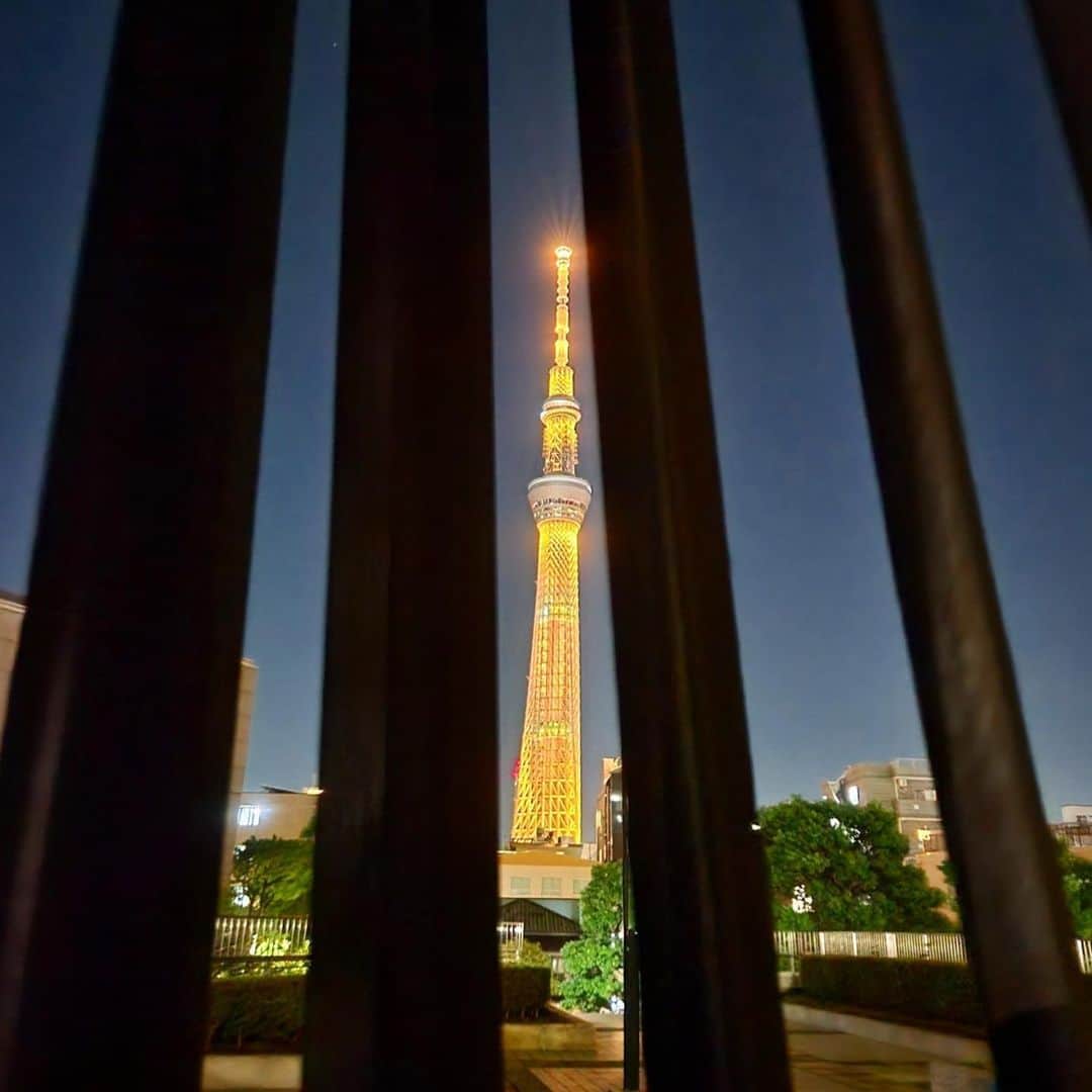 墨田区さんのインスタグラム写真 - (墨田区Instagram)「🏙️世界小児がん啓発✨ゴールドの特別ライティング💡  東京スカイツリーは、小児がんの啓発のための国際キャンペーン #GlobalGoldSeptember に賛同し、ゴールドの特別ライティングを点灯しまし た。   #GlobalGoldSeptemberとは、毎年9月に🌍各国それぞれの地域を象徴する建物 や遺跡・橋・自然資産などを金色にライトアップし、 小児がん治療の重要性を啓 発するとともに、子どもたちに必要な医療や研究に「光を照らす」 キャンペーン です。 このキャンペーンは、🎗️小児がんの患者やそのご家族の深い願いから始まり、今 や全世界でその意義が認識されています🙏  撮影者: #すみだカメラ部10選  1~2枚目▶ @036pov  3~5枚目▶ @toma_any1  6~8枚目▶ 鹿美 @shikami_kobayashi    #墨田区#すみだ#sumida#東京#tokyo#わたしのすみだ自慢#これもすみだのシティプロモー ション#東京スカイツリー #小児がん #GlobalGoldSeptember #啓発 #キャンペーン #ゴー ルドライティング #世界の絆 #希望の光 #子供たちの未来 #無限の光」9月11日 19時00分 - sumida_official