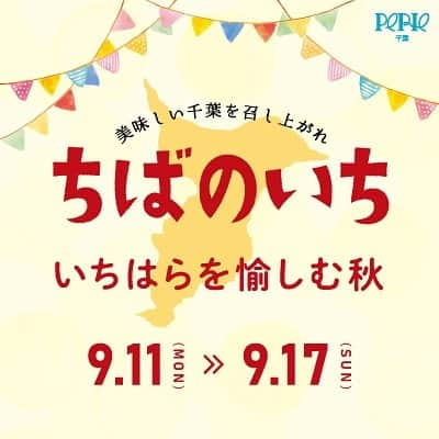 ペリエ千葉さんのインスタグラム写真 - (ペリエ千葉Instagram)「【本館3Fメインエントランス横/期間限定ショップ】 ちばのいち～いちはらを愉しむ秋～  本館3Fメインエントランス横催事場では期間限定で、『ちばのいち ～いちはらを愉しむ秋～ 』を開催しております！   今回のちばのいちは、市原から秋を感じるような商品ラインナップをお届けいたします🍁🍐🫐🍺 是非、この機会にちばのいちにお越しください♪   ■出店期間：9/11（月）～9/17（日） ■営業時間：11:00～19：00 ■今回の出店者 ・SUNファーム市原 ・ONE DROP FARM ・市原市農業協同組合 ・紙楽　※9/11(月)・9/12(火)のみ出店 ・ICHIHARA CONNECTION ※9/11(月)のみ出店 ・Felicia　※9/15(金)のみ出店  #ペリエ千葉 #千葉駅 #千葉 #ペリエ #期間限定 #市原 #いちはら #梨 #はちみつ #紙 #ビール #ブルーベリー #フルーツ #果物」9月11日 13時38分 - perie_chiba