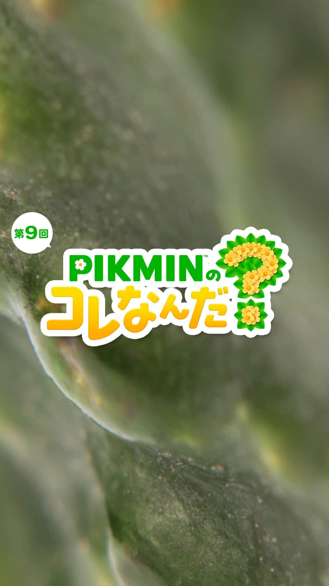 のインスタグラム：「「PIKMINのコレなんだ？」第9回  ピクミンたちが見つけたものはなんでしょう？  #ピクミン #pikmin #これなんだ #NintendoSwitch #Nintendo #任天堂」