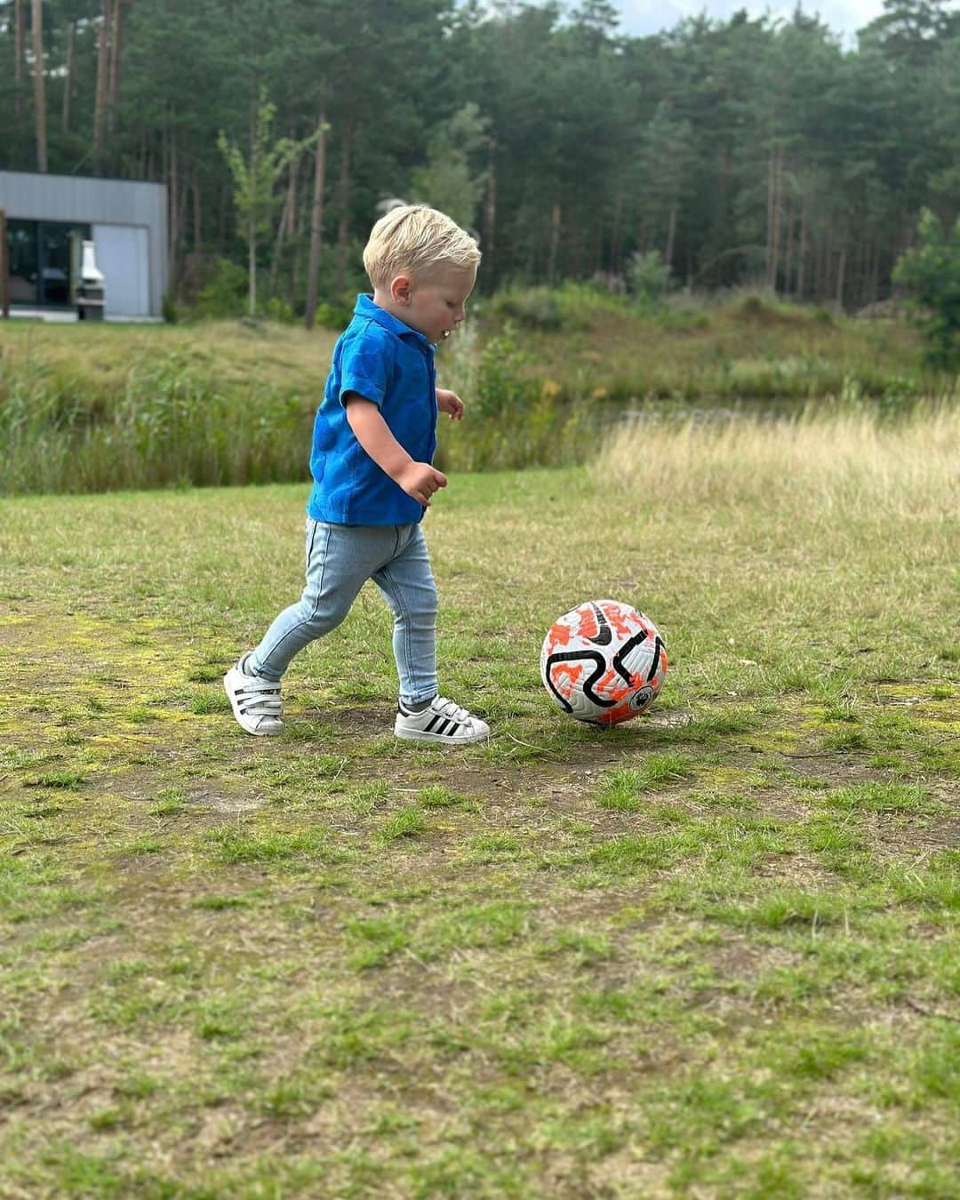 エルウィン・ムルダーさんのインスタグラム写真 - (エルウィン・ムルダーInstagram)「Happy 2nd birthday little friend❤️💛💙」9月11日 14時12分 - official_erwinmulder