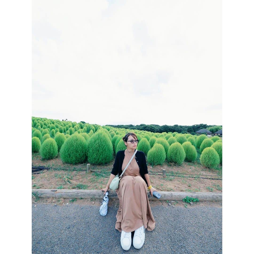 水崎綾女さんのインスタグラム写真 - (水崎綾女Instagram)「コキア🌱」9月11日 14時33分 - misakiayame
