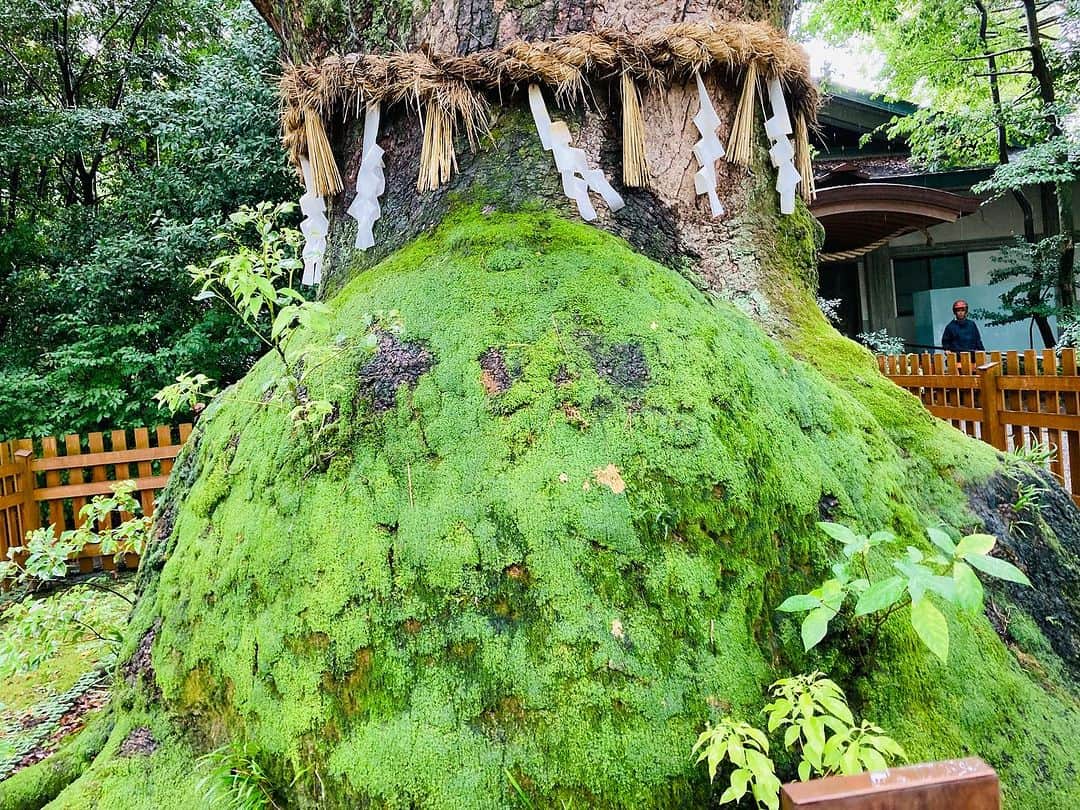 荒木桃園のインスタグラム：「名古屋3日目꒰ˆ‎꜆‪⸝⸝⸝⸝‎꜀ˆ꒱💓  『熱田神宮』  しっかり御参りして熊本へ帰ります✨️  今日まで桃はおやすみです(⁎ᴗ͈ˬᴗ͈⁎)✨️」