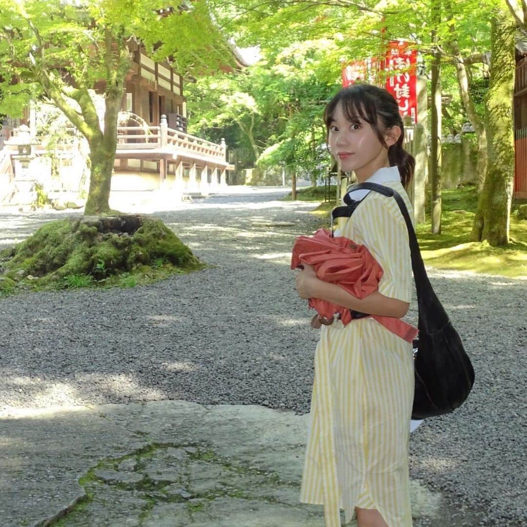 薮下柊のインスタグラム：「京都にある、今熊野観音寺と泉涌寺に行ってきました😊  西国三十三所第15番札所の今熊野観音寺🌱　 川に架かる今熊野鳥居橋が美しくて、自然豊かなお寺でした✨  そして、皇室ゆかりの御寺、泉涌寺にも伺いました☺️  仏殿に向かって、降り参道をおりる経験はお寺では珍しかった✨ 綺麗でした！  そのあとは、久しぶりに京都水族館に行って、癒しちゃん達に癒された〜😆 動物ってなんて素敵なん🥹  可愛すぎ〜！ アザラシの危機感のない寝方が可愛すぎる😂🦭  #今熊野観音寺  #泉涌寺  #京都  #京都水族館」