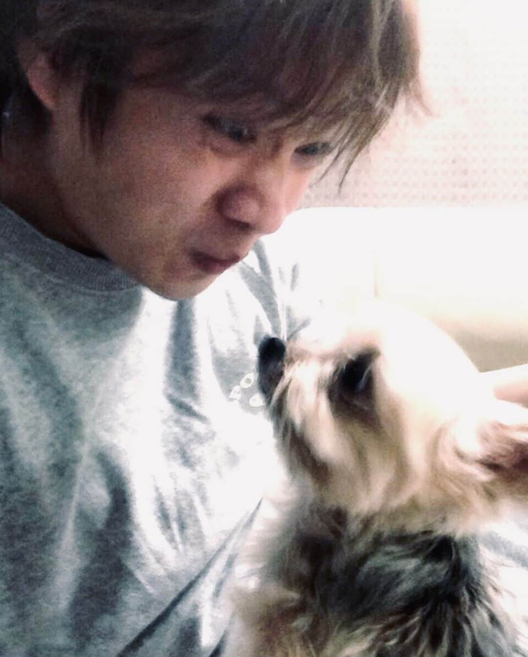 橋本裕太さんのインスタグラム写真 - (橋本裕太Instagram)「今日は愛犬の命日です！ 去年の今日僕は中国に住んでいて直接看取ることはできなかったけど、母がテレビ電話を繋いでくれて火葬まで見届けることができました。 いつまで経っても世界で一番大切な存在です🐶 ブレブレですが、僕が変顔して彼がドン引きしてる写真を添えます！！ 生きるってすごい！ 一生懸命って強い！ 大事なことをたくさん教えてくれてありがとう🫶」9月11日 15時33分 - yuta_gram