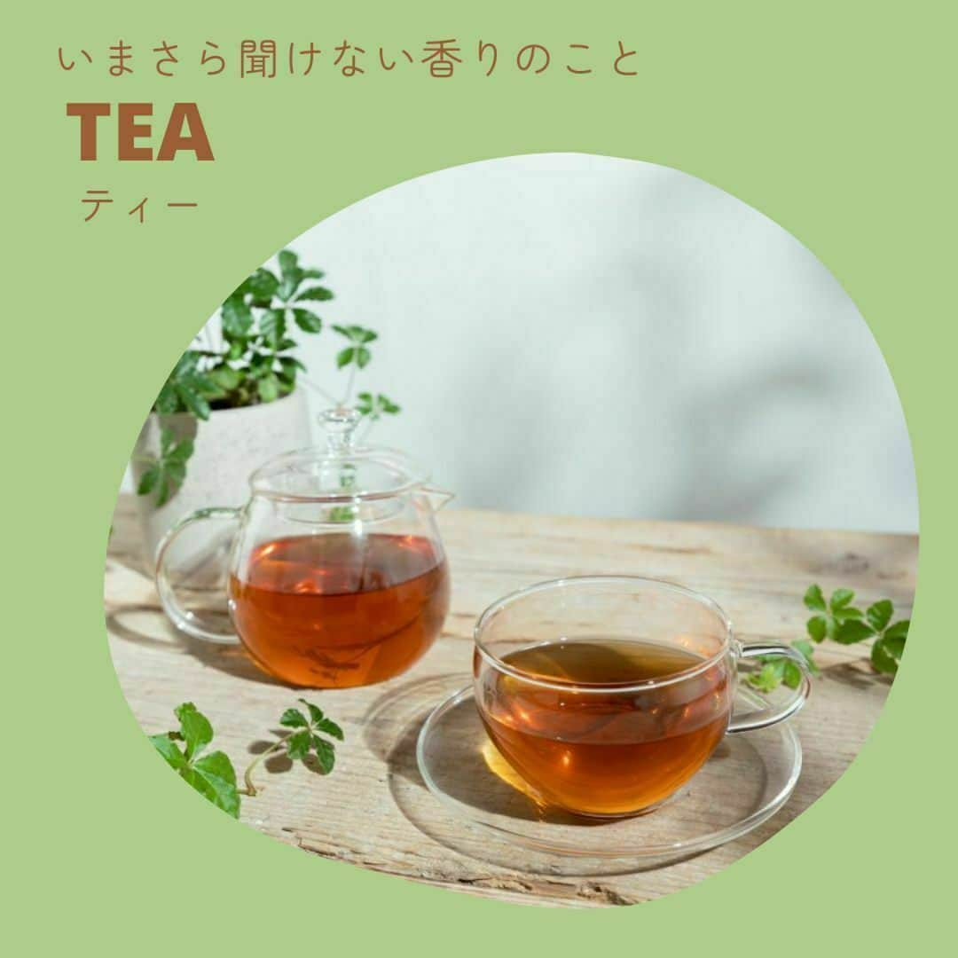 フィッツオンラインストアのインスタグラム：「いまさら聞けない香りのこと📝 TEA～ティー～💐  みなさんご存じの「ティー」の香り。今回はいくつかの香調についてトレンドも交えてご紹介していきます💁  普段から「香りの種類ってよくわからない…」と思っている方、必見です👀  1.ティーについておさらい 2.代表的なティーの種類について 3.ティー香調が合うシーン  気になるかたはフィッツオンラインストアの編集部コラムからどうぞ💁 https://fitsonlinestore.com/staff-diary/2023/08/11/5561/  #香水 #フレグランス #香り #香水好き #香水好きな人と繋がりたい #香りのある暮らし #香り好きな人と繋がりたい #香水マニア #香りフェチ #香りを楽しむ #香水集め #ブラックティー #ホワイトティー #アールグレイ #ウーロン茶 #マテ茶 #グリーンティー #お茶香水」