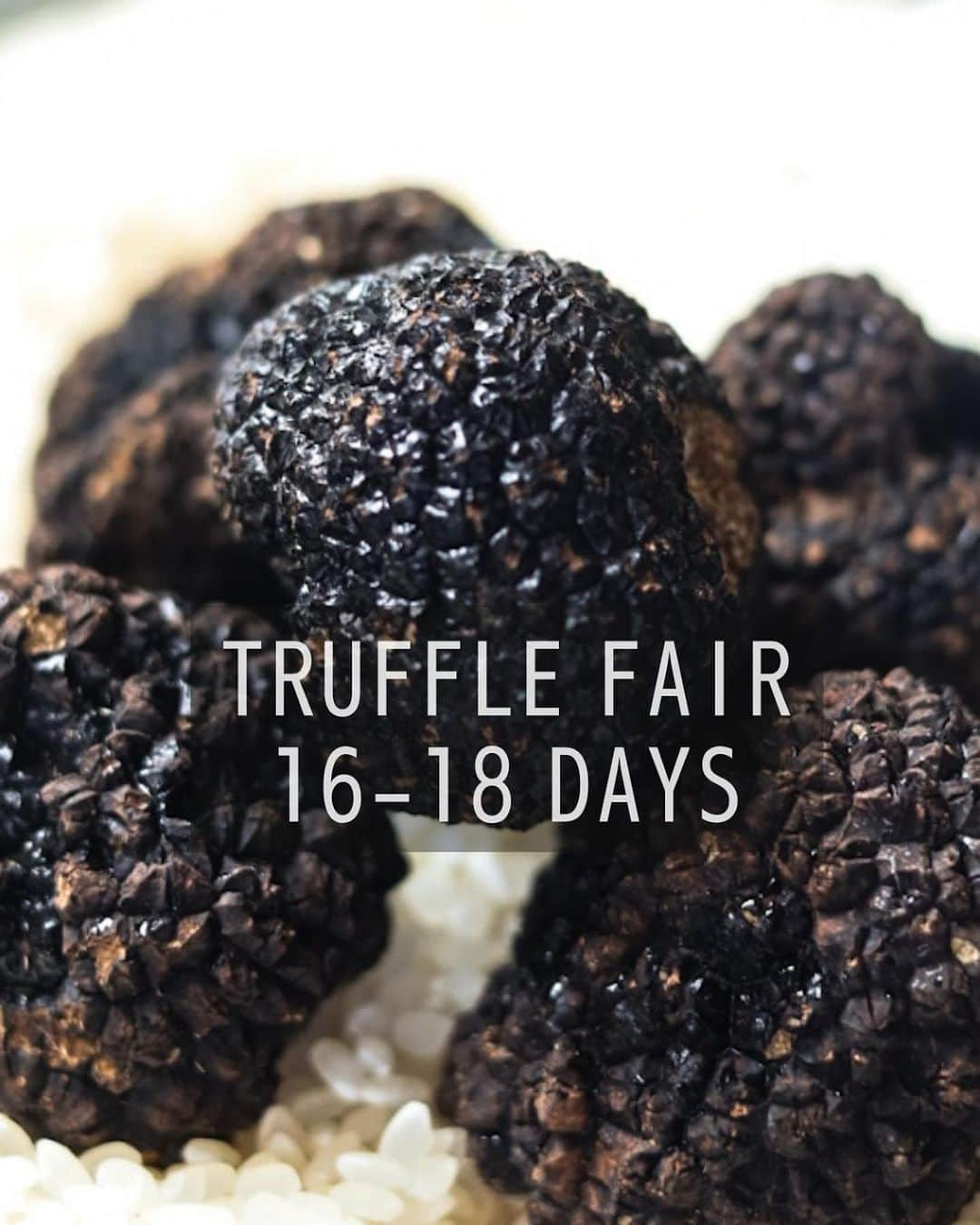 THE RIGOLETTOのインスタグラム：「【TRUFFLE FAIR】  9/16-18 トリュフフェア開催致します！！  独特で芳醇な香りが特徴の、4月から8月が旬のサマートリュフ ご注文いただいたお料理に、目の前でトリュフをふわっと削ってご提供いたします。  今回はサマートリュフと相性ピッタリな Special Menuを3品ご用意しました。  ・ミートカルパッチョ 渋谷リゴレットの看板商品のミートカルパッチョに、サマートリュフをかけてバルサミコソースと一緒に召し上がっていただきます。  ・ビスマルクピザ サマートリュフを美味しく召し上がっていただくために、生ハムや半熟卵を乗せたビスマルクを特別にご用意しました。 とろとろな卵とチーズと一緒にお楽しみください。  ・24ヶ月熟成パルミジャーノチーズリゾット 24ヶ月熟成のパルミジャーノチーズをふんだんに使ったチーズリゾットに、サマートリュフをかけて召し上がっていただきます。  こちらのメニューは20食限定でご用意しております。 THCからご予約いただいた方限定で、先着お取り置きが可能です！  お取り置きする際には、「インスタ見た」「スペシャルメニューのお取り置きする個数」を、ご予約確定の最終ページのメッセージにご記載ください。  皆様のご来店お待ちしております。  ご予約は私たちの公式サイト、アプリから承っております。 プロフィールのURLをご覧ください。 . . ≪ALL NATURAL≫ NO MSG and ZERO TRANS FAT,ORGANIC SUGAR,NATURAL SALT    THE RIGOLETTO 東京都渋谷区渋谷1-23-21 渋谷キャストGF/1F 03-6631-1129 http://www.rigoletto.jp/shibuya/ . . HUGE公式アプリは[App Store] または [Google Play] で 【🔎ヒュージクラブ】 で検索！ ▼ダウンロードURL▼ https://s.huge.co.jp/3k5Mbmx     #therigoletto #rigoletto #italian #spanish #shibuya #winecellar #shibuyarestaurant #bar #shibuyabar #リゴレット #イタリアン #スパニッシュ #渋谷イタリアン #渋谷レストラン #渋谷グルメ #渋谷ランチ #渋谷ディナー #渋谷バー #ザヒュージクラブ #thehugeclub」