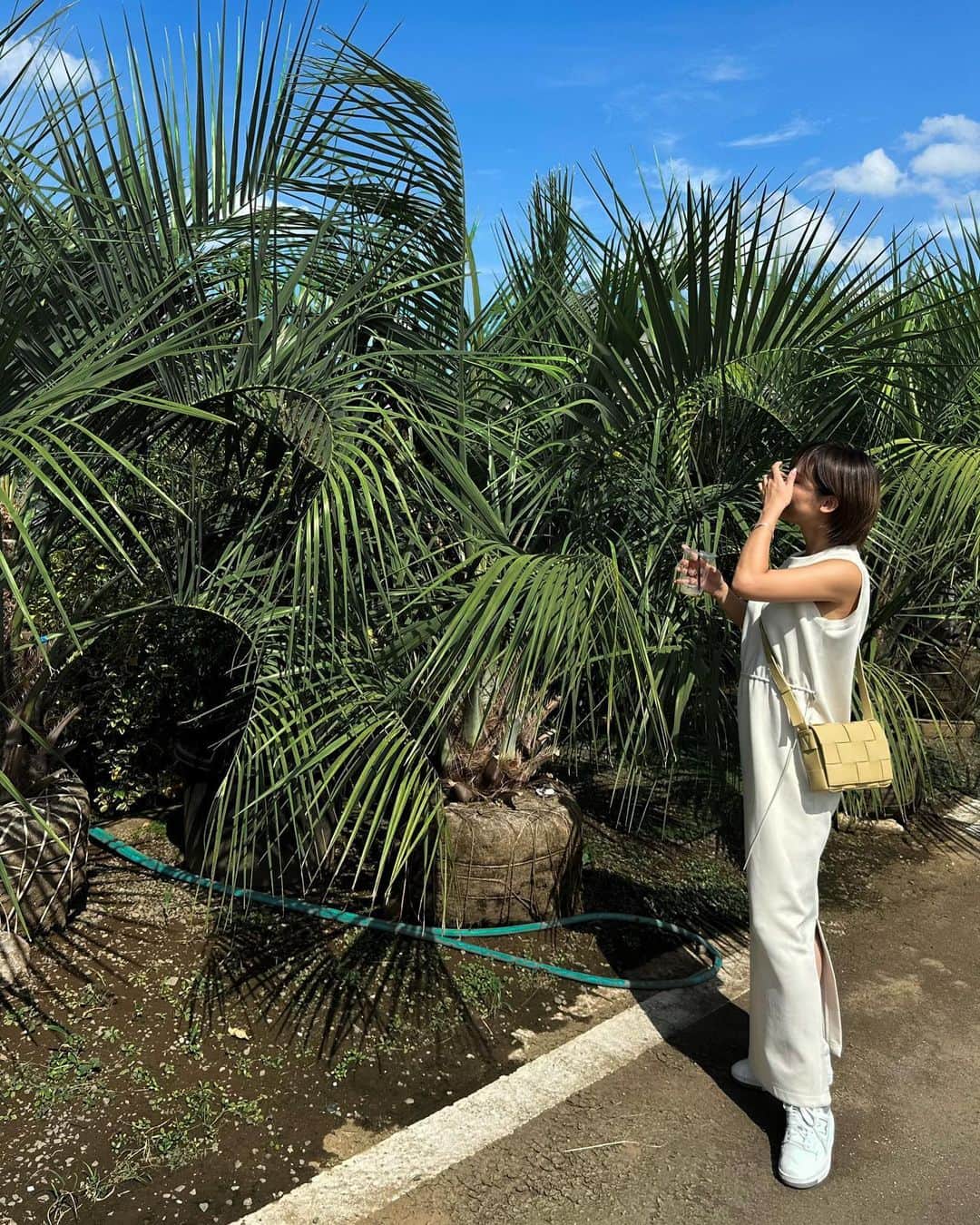宮本沙恵さんのインスタグラム写真 - (宮本沙恵Instagram)「庭に植える木を細谷造園に探しに行きました🌴✨ 広大な土地にたくさんの植物が植えてあって、一つ一つに値段が付いてるの！ . 背の高い椰子の木は何と150万円也〜🥹 バリじゃそこら中に生えてたよね？！なんて話しながら💰笑 . マンション暮らしでは縁のない沢山の植木を見て回って、テンションの上がった日でした🤍 #ガーデニング#ガーデンセンター#diy」9月11日 19時17分 - saebi