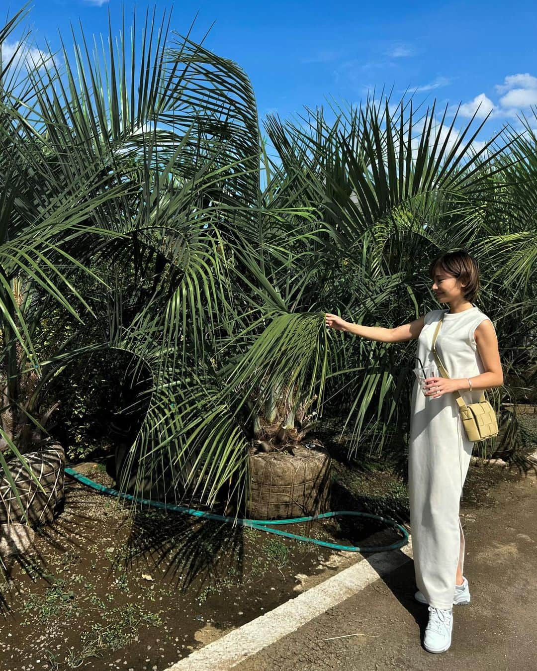 宮本沙恵のインスタグラム：「庭に植える木を細谷造園に探しに行きました🌴✨ 広大な土地にたくさんの植物が植えてあって、一つ一つに値段が付いてるの！ . 背の高い椰子の木は何と150万円也〜🥹 バリじゃそこら中に生えてたよね？！なんて話しながら💰笑 . マンション暮らしでは縁のない沢山の植木を見て回って、テンションの上がった日でした🤍 #ガーデニング#ガーデンセンター#diy」