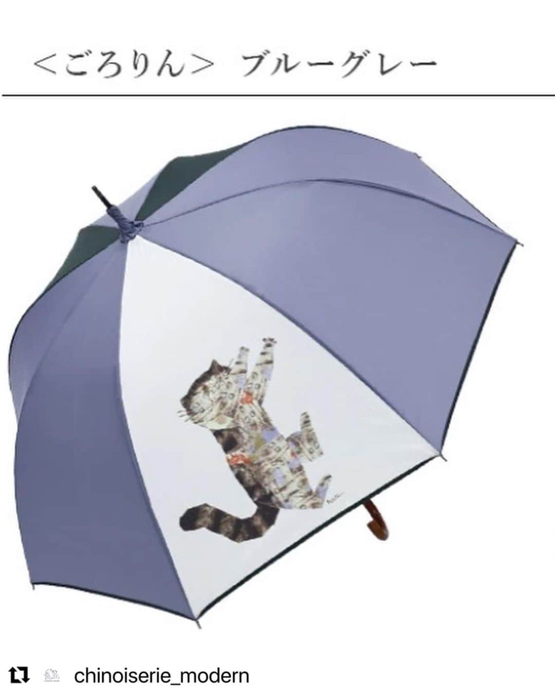 土肥美帆さんのインスタグラム写真 - (土肥美帆Instagram)「😺 ・ 深尾竜騎さんイラストの シノワズリーモダン京都の傘。 先日、雨の中デビュー。 雨のお散歩ルンルンでした☂️ シノワズリーモダン京都さんでもポストいただき、 ありがとうございます。 ケンジの写真集まで❣️  @fukaoryuuki   #Repost @chinoiserie_modern with @use.repost ・・・ なんと！ボス猫ケンジだった😻  先日、新発売したイラストレーター深尾竜騎さんとのコラボ雨傘『ごろりん』。  このイラストがInstagramやTwitterでバズリ中のボス猫ケンジがモデルだと販売後に知りました💦  深尾さんから『思い入れのあるイラスト…』とは聞いてはいたものの、まさか人気猫ケンジだったとは〜😽  ケンジを撮影した土肥カメラマンと深尾さんがお友達とのこと。  ボス猫ケンジ…可愛い過ぎる〜😽  #ボス猫ケンジ #土肥美帆さん #深尾竜騎さん #シノワズリーモダン京都 #ネコイラスト傘」9月11日 19時31分 - big_face_cat_kenji