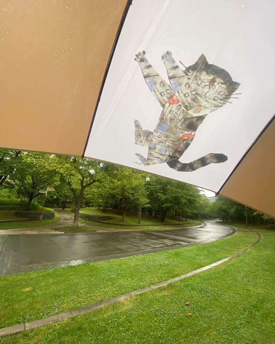 土肥美帆さんのインスタグラム写真 - (土肥美帆Instagram)「😺 ・ 深尾竜騎さんイラストの シノワズリーモダン京都の傘。 先日、雨の中デビュー。 雨のお散歩ルンルンでした☂️ シノワズリーモダン京都さんでもポストいただき、 ありがとうございます。 ケンジの写真集まで❣️  @fukaoryuuki   #Repost @chinoiserie_modern with @use.repost ・・・ なんと！ボス猫ケンジだった😻  先日、新発売したイラストレーター深尾竜騎さんとのコラボ雨傘『ごろりん』。  このイラストがInstagramやTwitterでバズリ中のボス猫ケンジがモデルだと販売後に知りました💦  深尾さんから『思い入れのあるイラスト…』とは聞いてはいたものの、まさか人気猫ケンジだったとは〜😽  ケンジを撮影した土肥カメラマンと深尾さんがお友達とのこと。  ボス猫ケンジ…可愛い過ぎる〜😽  #ボス猫ケンジ #土肥美帆さん #深尾竜騎さん #シノワズリーモダン京都 #ネコイラスト傘」9月11日 19時31分 - big_face_cat_kenji