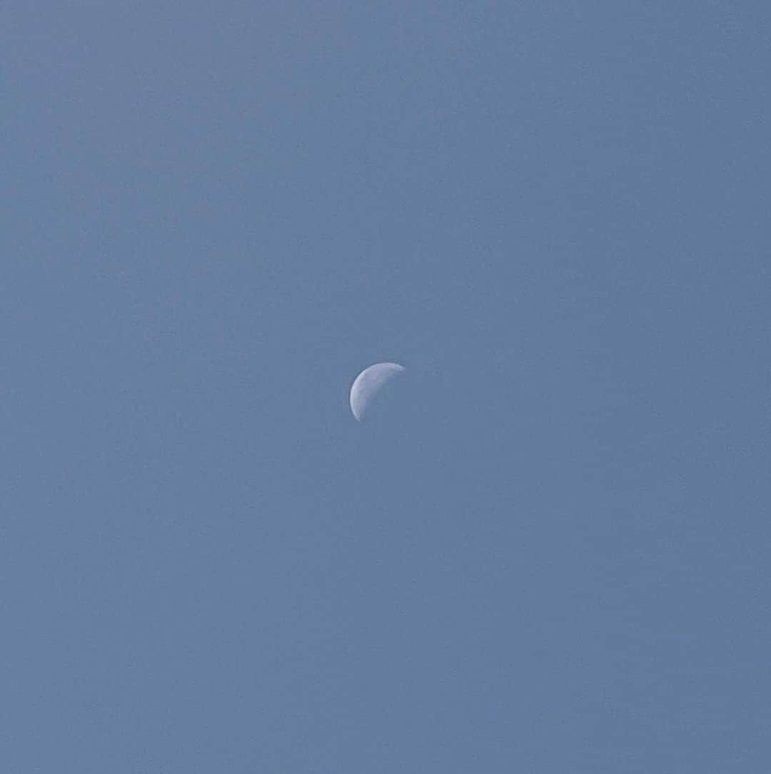 Carin Olssonのインスタグラム：「8 from last week 🌙」