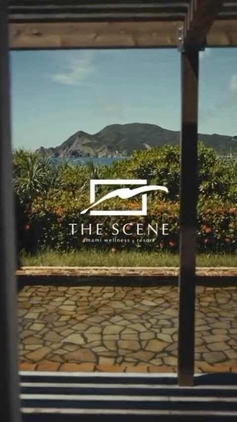 HOTEL THE SCENE -ホテル ザ シーン- のインスタグラム