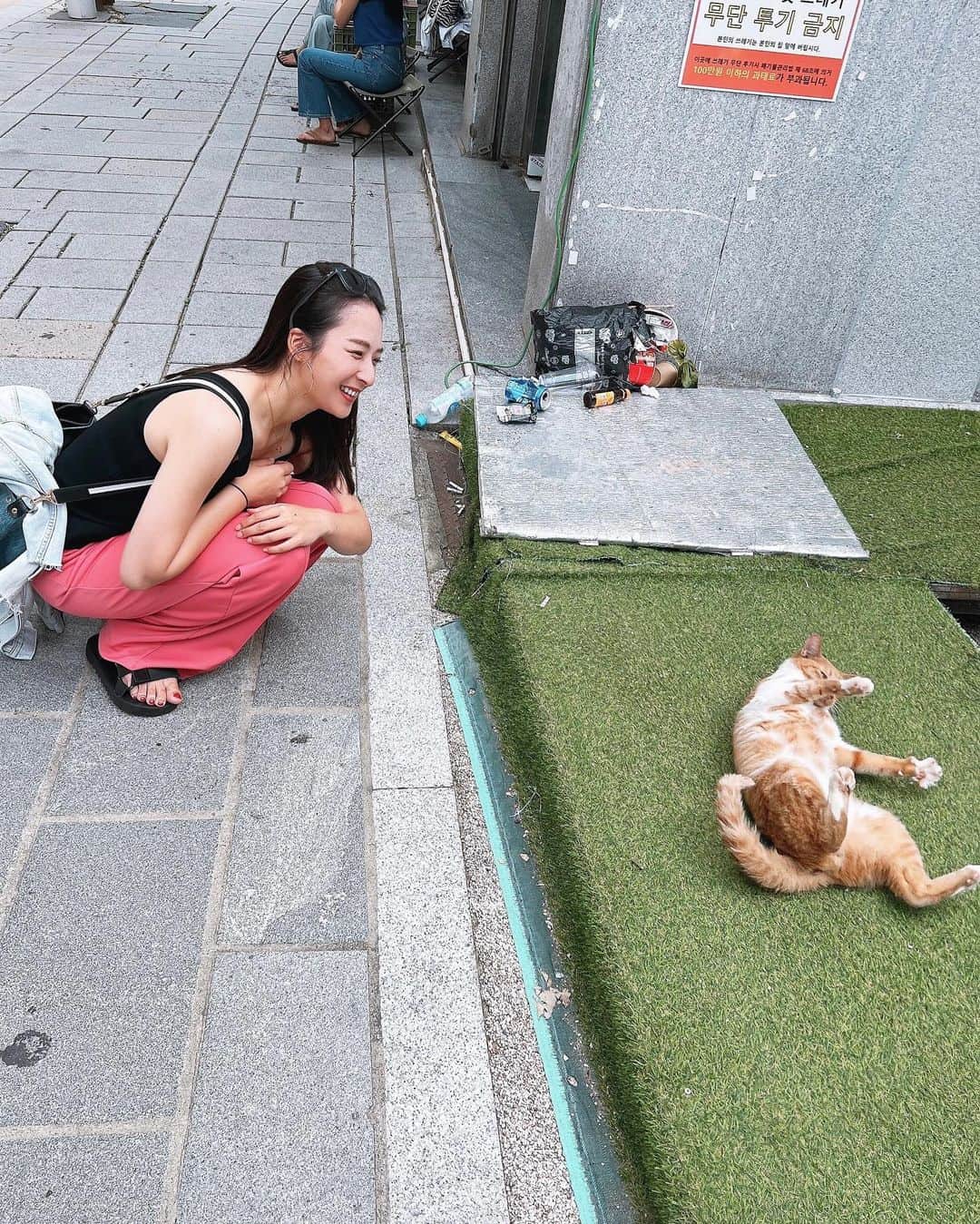 本間愛花のインスタグラム：「🐈🩷 おなか見せてくれた🩷」