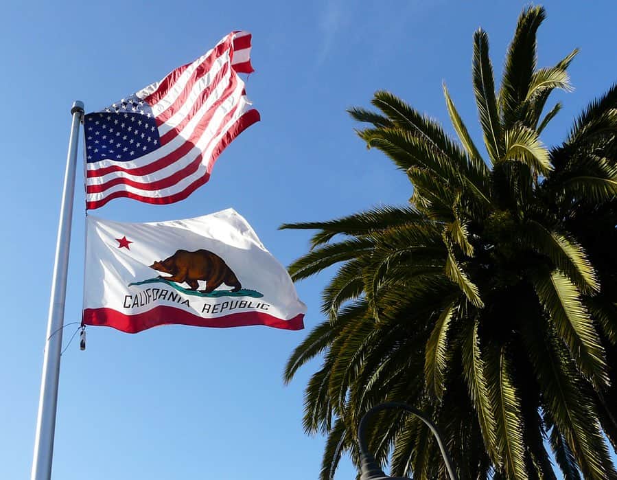 スタンダードカリフォルニアのインスタグラム