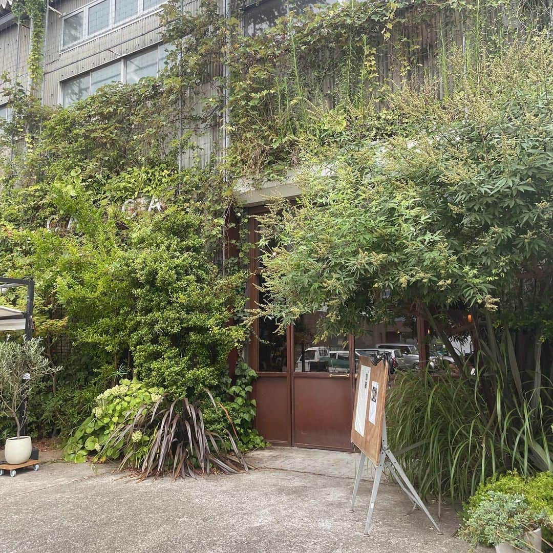 足立沙織のインスタグラム：「. ずっと行きたかったCASICA  緑が溢れる素敵空間🌲 ご飯も美味しくて満たされました✨  #casica #tokyo  #カシカ #東京 #新木場 #暮らしの道具 #インテリア #観葉植物」