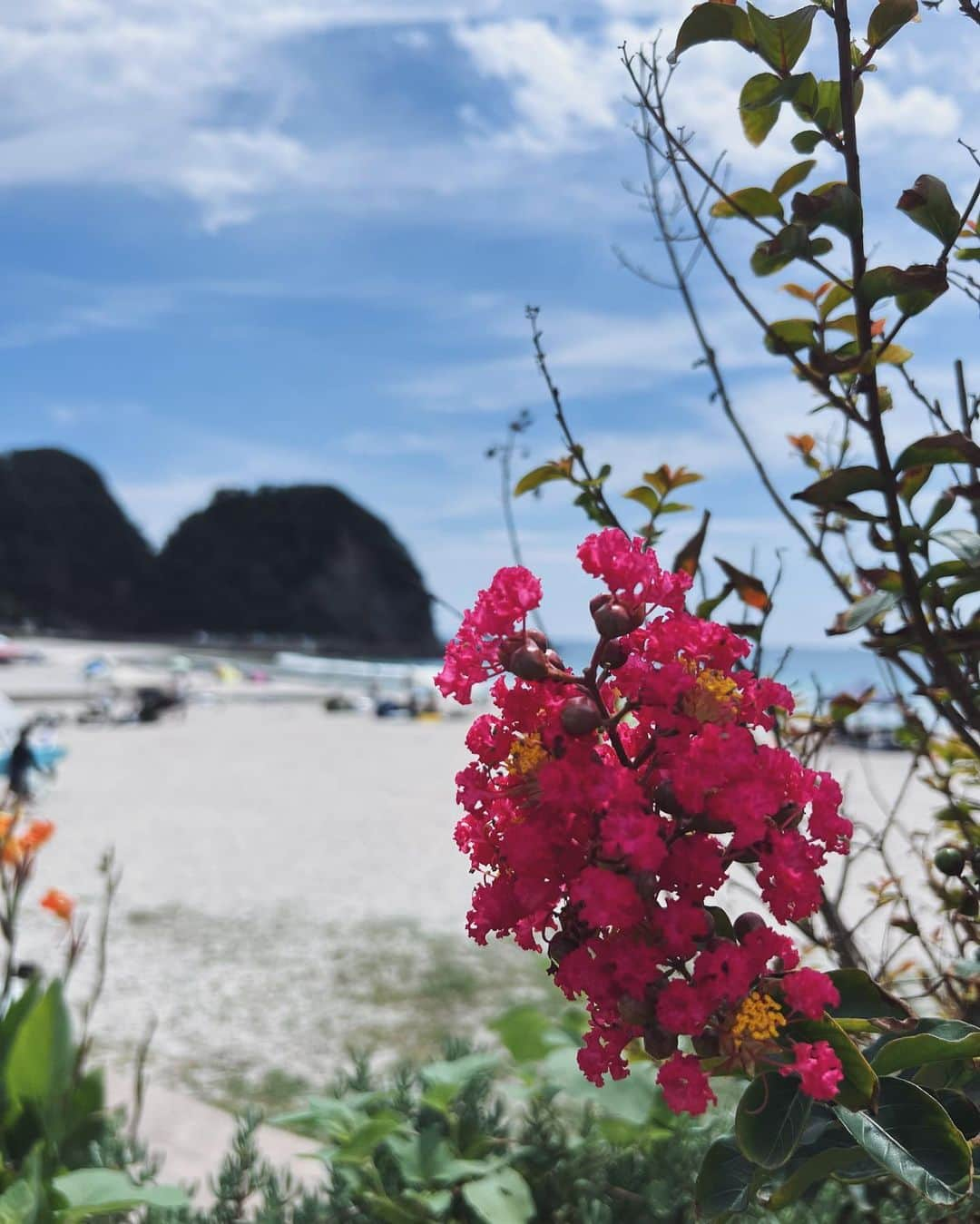 Julia Castroさんのインスタグラム写真 - (Julia CastroInstagram)「The last trip of Summer⛵️  夏の終わりにどうしても海を感じたくて1泊2日で下田に行ってきました🌿 曇り予報だったのに晴れてくれて、お天気の神様に感謝🌞 悔いなく夏を終えることができました🫶🏻 . #summervacation  #summer #beach #summervibes  #夏の思い出 #夏の終わり #julistagram」9月11日 21時38分 - julia.c.0209