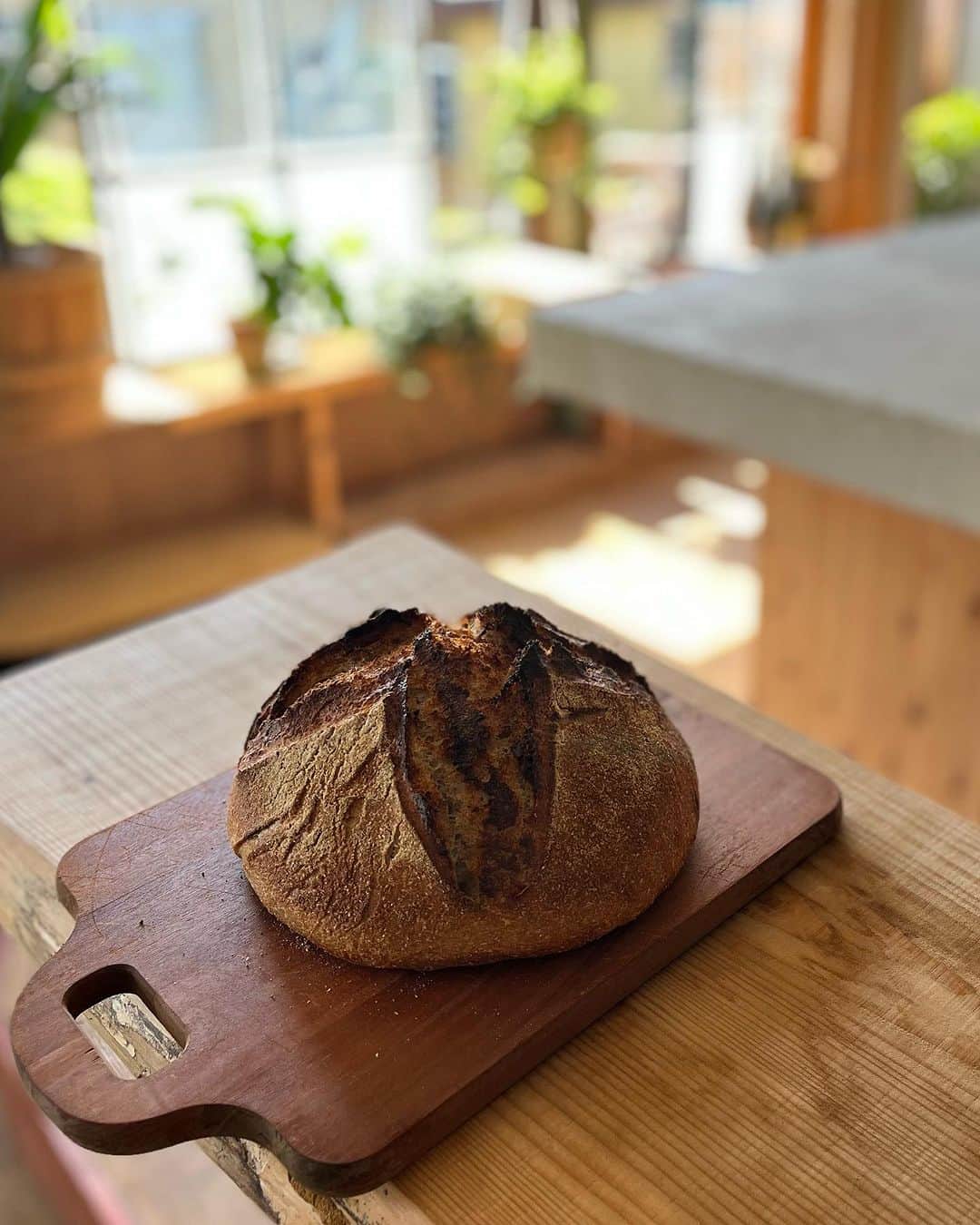 和田安佳莉さんのインスタグラム写真 - (和田安佳莉Instagram)「夏の終わりのパン祭り。  #カンパーニュ #天然酵母 #crispbread #手作りパン #food #料理 #パン部 #organic #暮らし #instabread #bread #happy #サワードゥ」9月11日 22時34分 - akariwada_official