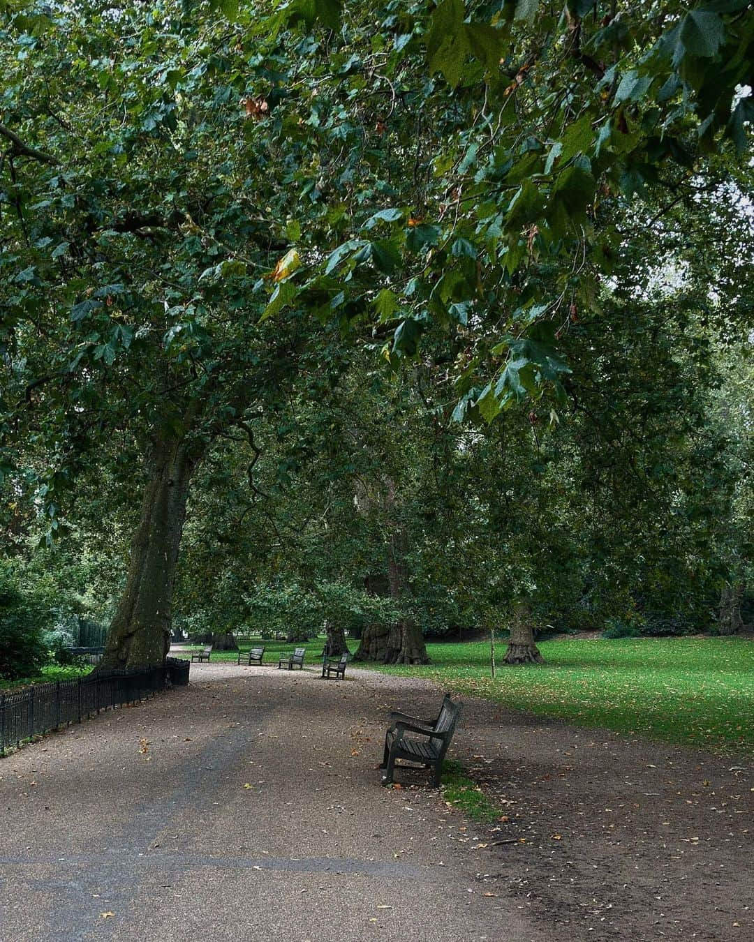 フェイ さんのインスタグラム写真 - (フェイ Instagram)「#海德公园 #伦敦 #Hyde Park #london」9月11日 22時58分 - ff0427