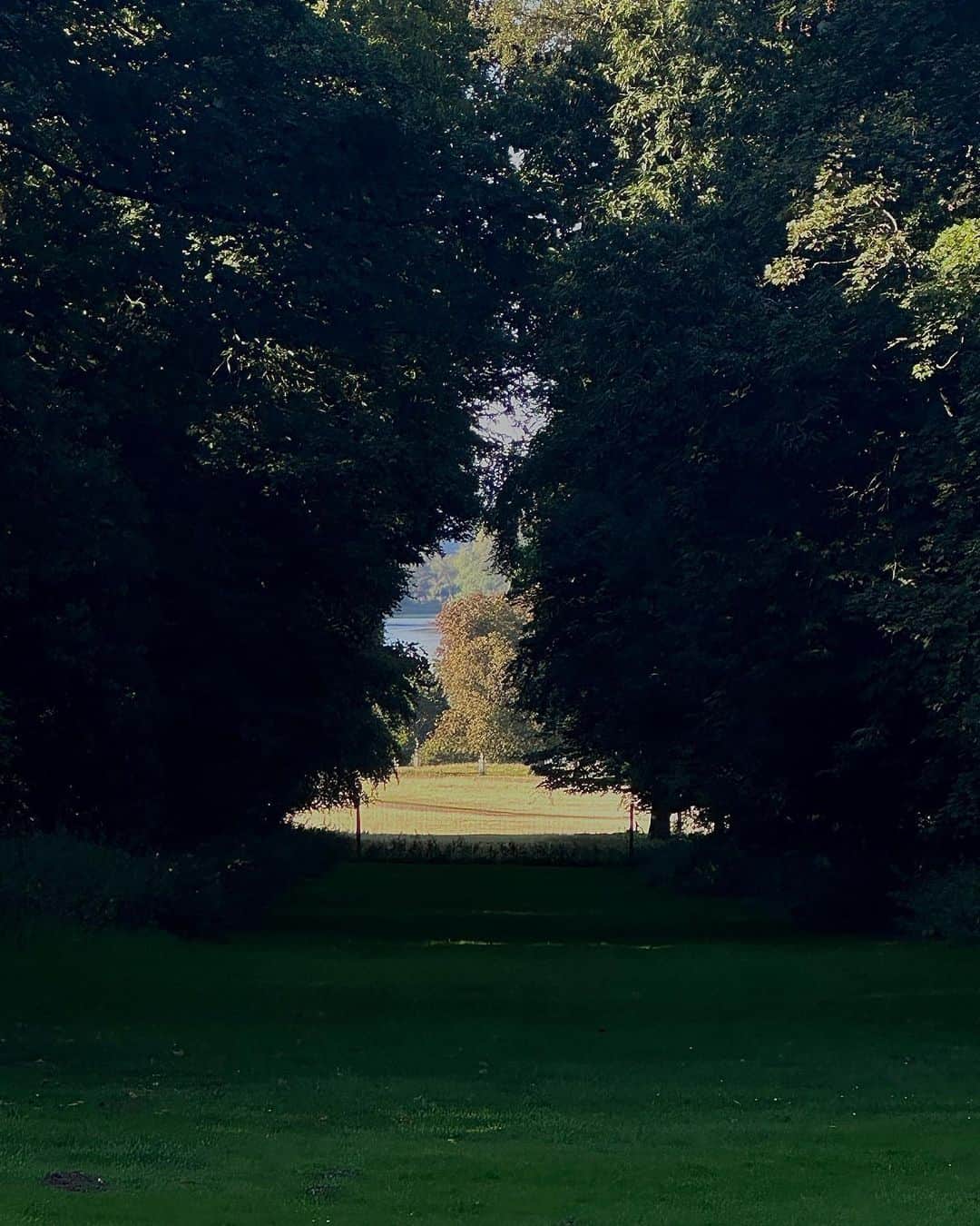 フェイ さんのインスタグラム写真 - (フェイ Instagram)「#Hyde Park #london」9月11日 23時06分 - ff0427