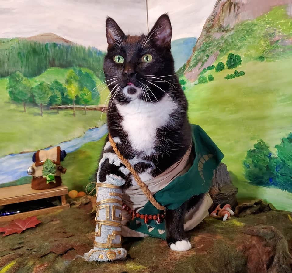 猫コスプレさんのインスタグラム写真 - (猫コスプレInstagram)「All the powers of the ancient Zonai. Can't Recall a thing.  #TearsOfTheKingdom #Zelda #totk #loz . . . . . #thelegendofzelda #LegendOfZelda #legend #link #linkcosplay #totkcosplay #lozcosplay #legendofzeldacosplay #legendofzeldafanart #catcosplay #cosplay #cosplayer #cat #catcostume #catsinclothes #petclothes #PetCostume #petarmor #catarmor #funnycats #humor #funny #tuxedocat #videogame #videogamecosplay #zeldamemes」9月11日 23時37分 - cat_cosplay