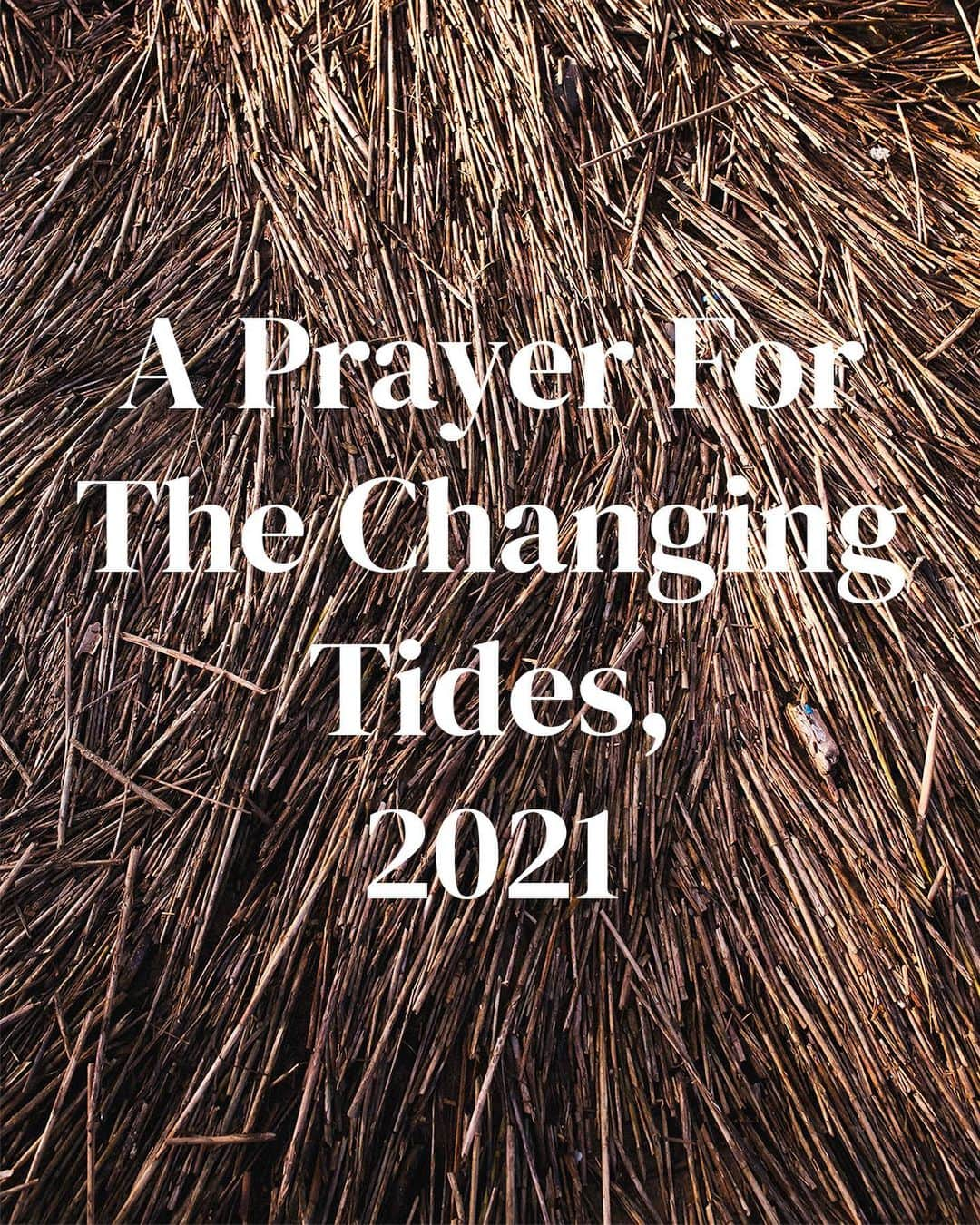 マイラ・ダルブサイオさんのインスタグラム写真 - (マイラ・ダルブサイオInstagram)「Listening to the cicadas outside my bedroom window this morning reminded me of this essay I wrote for a magazine a couple years ago, which ended up unpublished.   It’s meditation on the fear and excitement tied up in entering new phases of life, and the complicated parts of aging (especially as a woman, especially in the fashion industry).   Soon we will be entering another new and scary and exciting chapter of life 🤰🏻 and it felt like the right time to revisit it. Hope it resonates with some of you 💗  #studiomyla」9月11日 23時36分 - myladalbesio