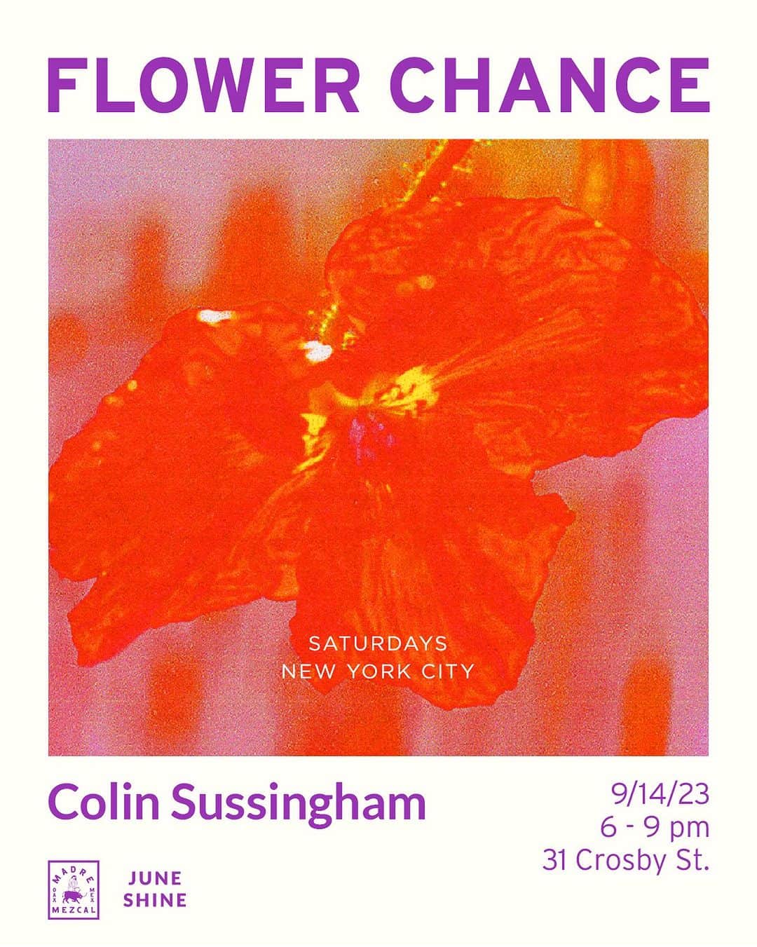 サタデーズのインスタグラム：「‘Flower Chance’ a solo exhibition from Colin Sussingham opens this Thursday, September 14th.   31 Crosby St — 6-9pm  On view September 14th — October 1st.」