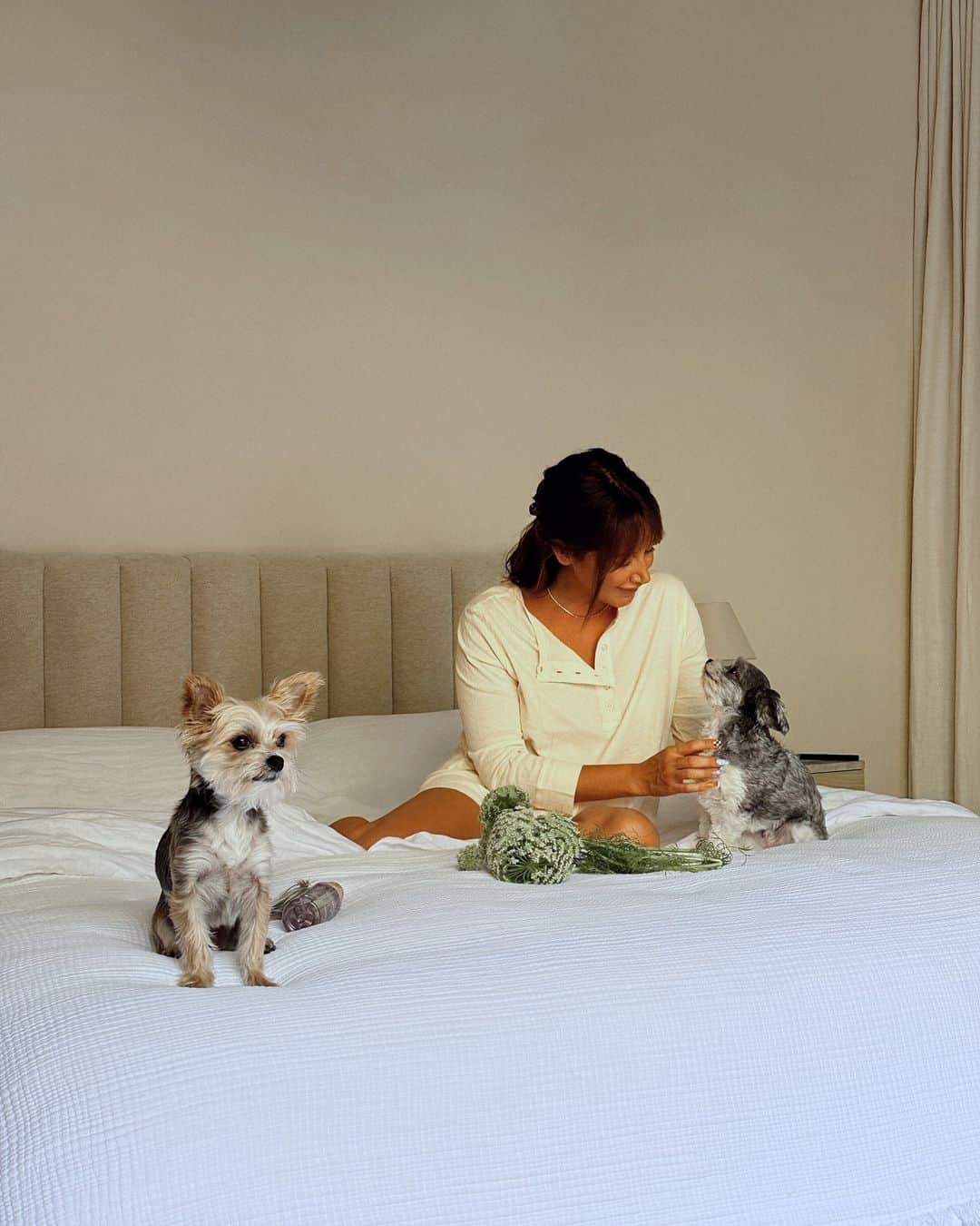 アシュレイ・ティスデイルのインスタグラム：「Sushi and Ziggy love the camera 😂」