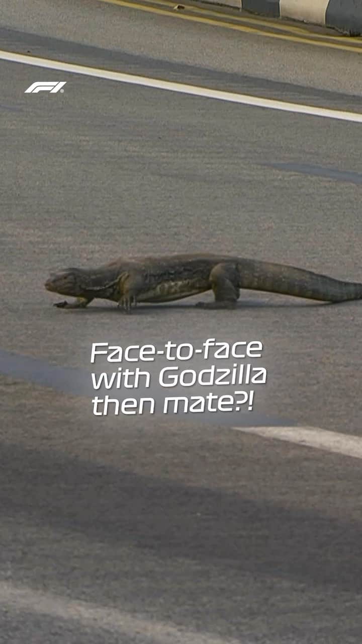 F1のインスタグラム：「When Max Verstappen met Godzilla in Singapore 🦎🤝  #F1 #Formula1 #SingaporeGP @maxverstappen1 @redbullracing」