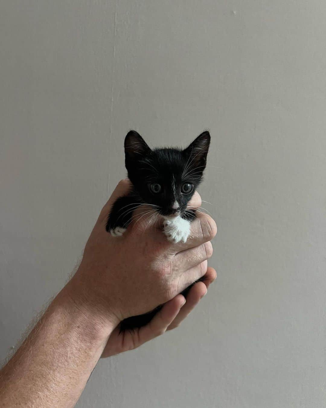 イプシー・キーラティのインスタグラム：「🏡 น้องได้บ้านละค้าบ 😆🫶🏽✨🖤」
