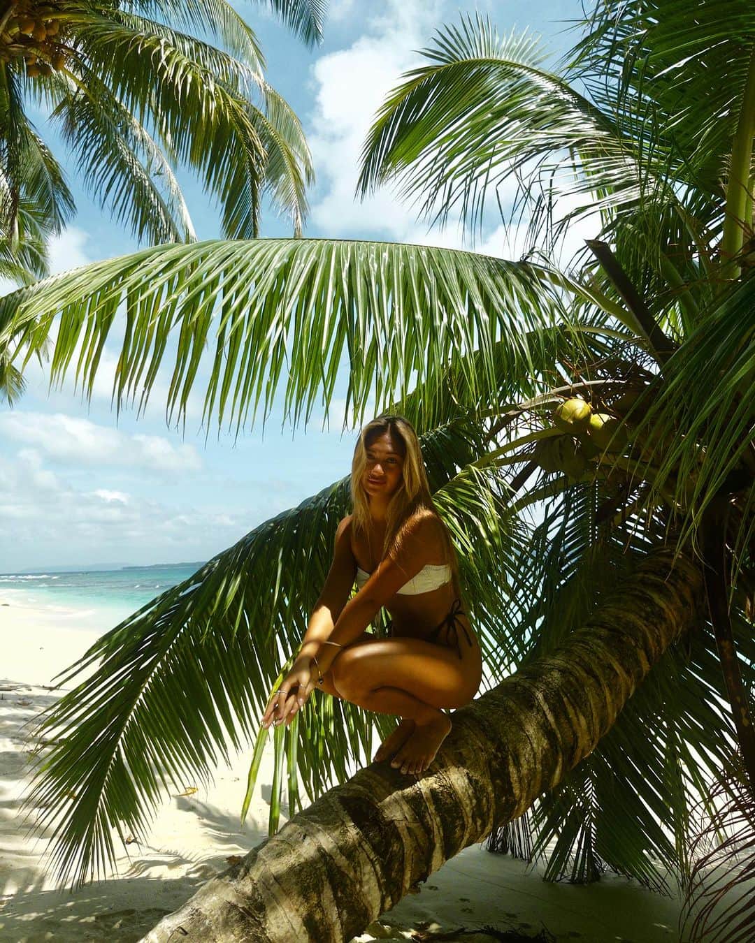 のインスタグラム：「🐒🌴」