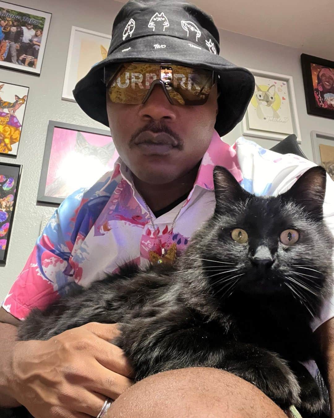 MSHO™(The Cat Rapper) さんのインスタグラム写真 - (MSHO™(The Cat Rapper) Instagram)「It’s my Birthday.🎂 Y’all know I don’t say much, I just like to chill and just be in my zone. Spending time with my family. But I just wanted to take the time out and celebrate myself. I’ve really came a long way and I’m really proud and happy to be where I am today. Thank you all for being here and for loving your cats. Never stop believing in yourself and NEVER stop loving YOUR CATS. More is coming ON THE WAY #HappyBirthdayCatRapper #TheCatRapper #MoGang」9月12日 11時45分 - iammoshow