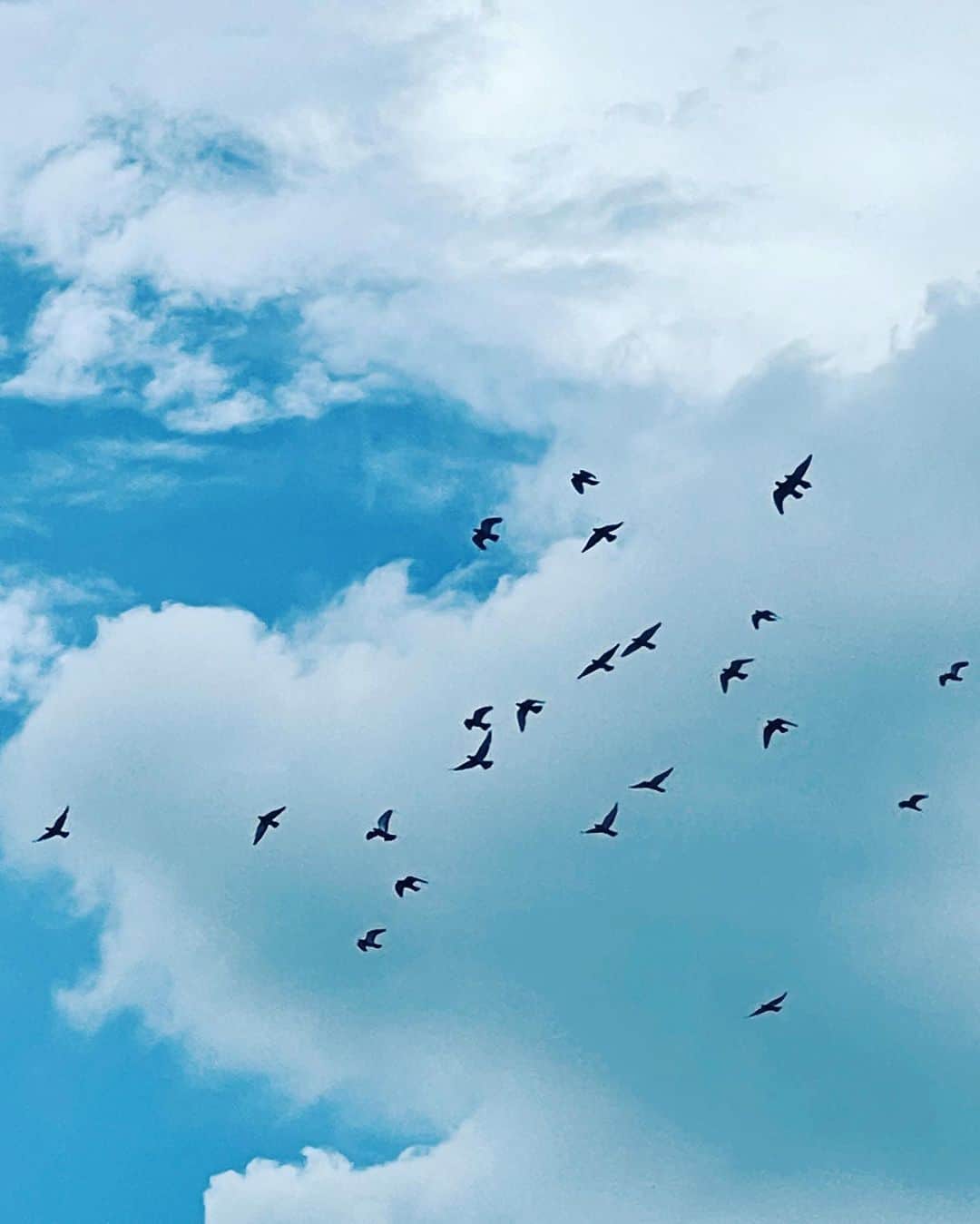 のインスタグラム：「仲良しのふたり発見👯‍♀️  なんか最近空の投稿多いよね、年のせい？」