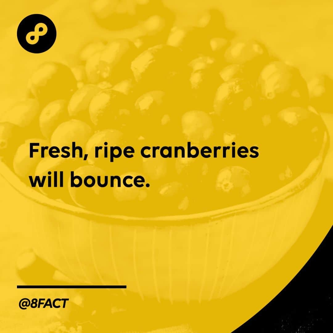 さんのインスタグラム写真 - (Instagram)「Even farmers use this technique to see if their cranberries are ready for shipment」9月12日 12時23分 - 8fact