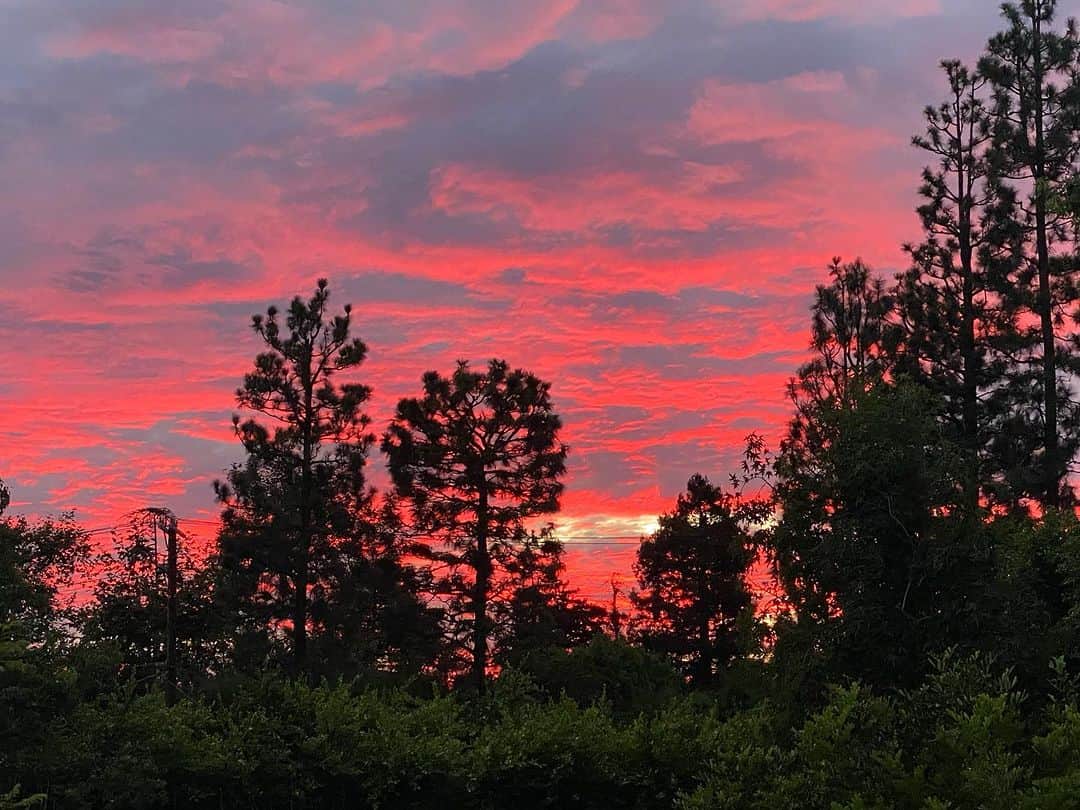 カミール・グラマーのインスタグラム：「Tonight’s sunset」