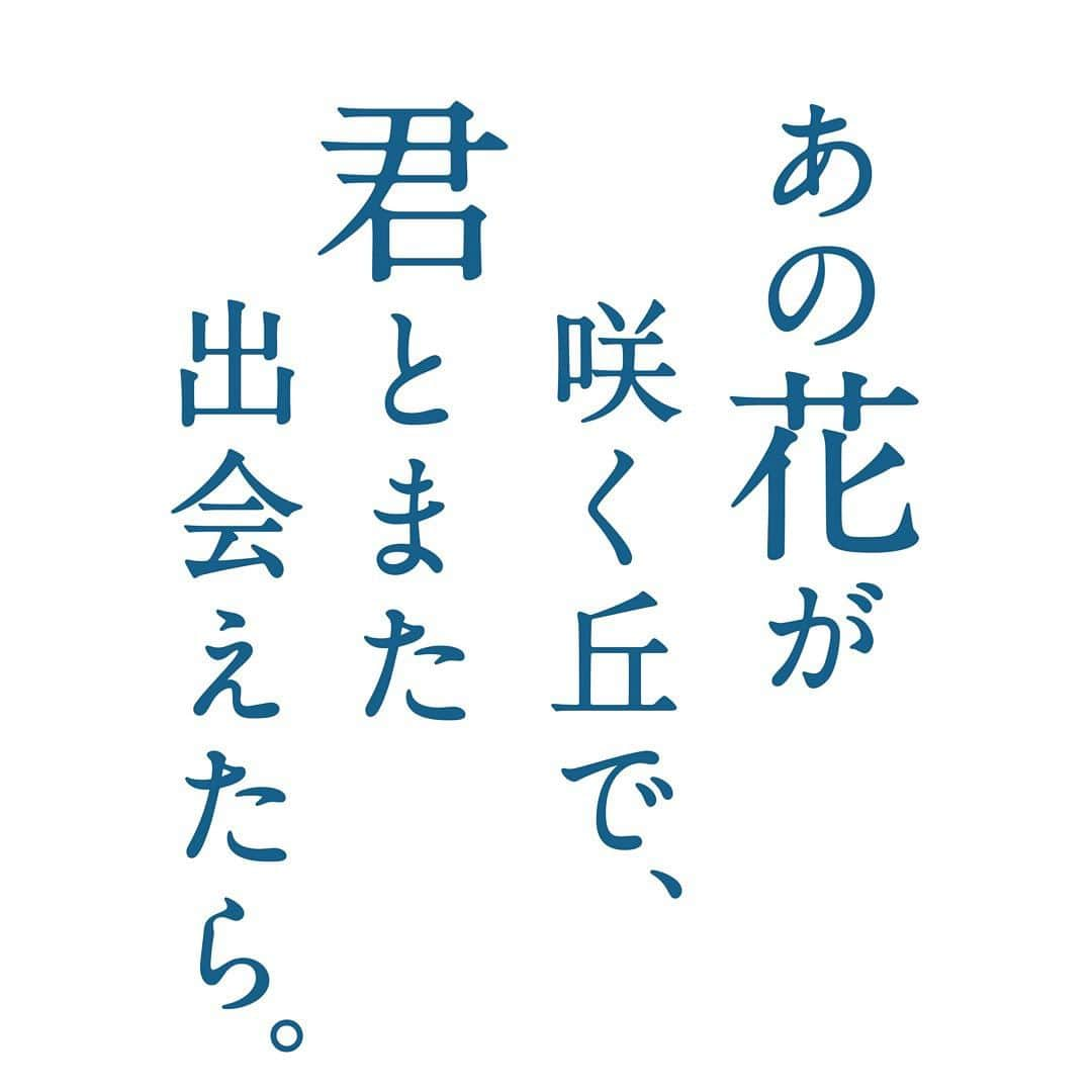 天寿光希のインスタグラム：「#映画 #あの花 に出演させていただきます。  2023年12月8日（金）劇場公開です。  #あの花が咲く丘で君とまた出会えたら #成田洋一監督  #福原遥 さん  #水上恒司  さん #伊藤健太郎 さん  #嶋﨑斗亜  さん #上川周作 さん  #小野塚勇人  さん #出口夏希 さん #中島朋子 さん  #坪倉由幸 さん  #松坂慶子 さん  涙無しでは読めない脚本でした。 是非、愛する人と ご家族と 親子で 大切な人と 今この瞬間の奇跡を実感しに 映画「あの花が咲く丘で、君とまた出会えたら」 観ていただきましたら幸いです。  #天寿光希」