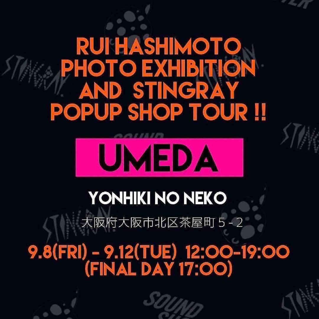 橋本塁さんのインスタグラム写真 - (橋本塁Instagram)「【大阪梅田サウシュー写真展 &STINGRAY最終日！】17時まで！ギャラリー4匹の猫(北区茶屋町５−２)にてお待ちしてます！是非！僕はずっと居ます！STINGRAYランチトートバッグやマルチストラップ是非チェックをば！17時から搬出ボランティアさんも募集中です！  #stingray #streetfashion #dot  #ドット #大阪 #梅田 #ストリート　  #oneokrock  #ストレイテナー #fomare  #プッシュプルポット #androp #thebackhorn #ビレッジマンズストア #thepillows #ren  #frontierbackyard  #dopingpanda  #hawaiian6  #thebandapart #fomare」9月12日 12時56分 - ruihashimoto