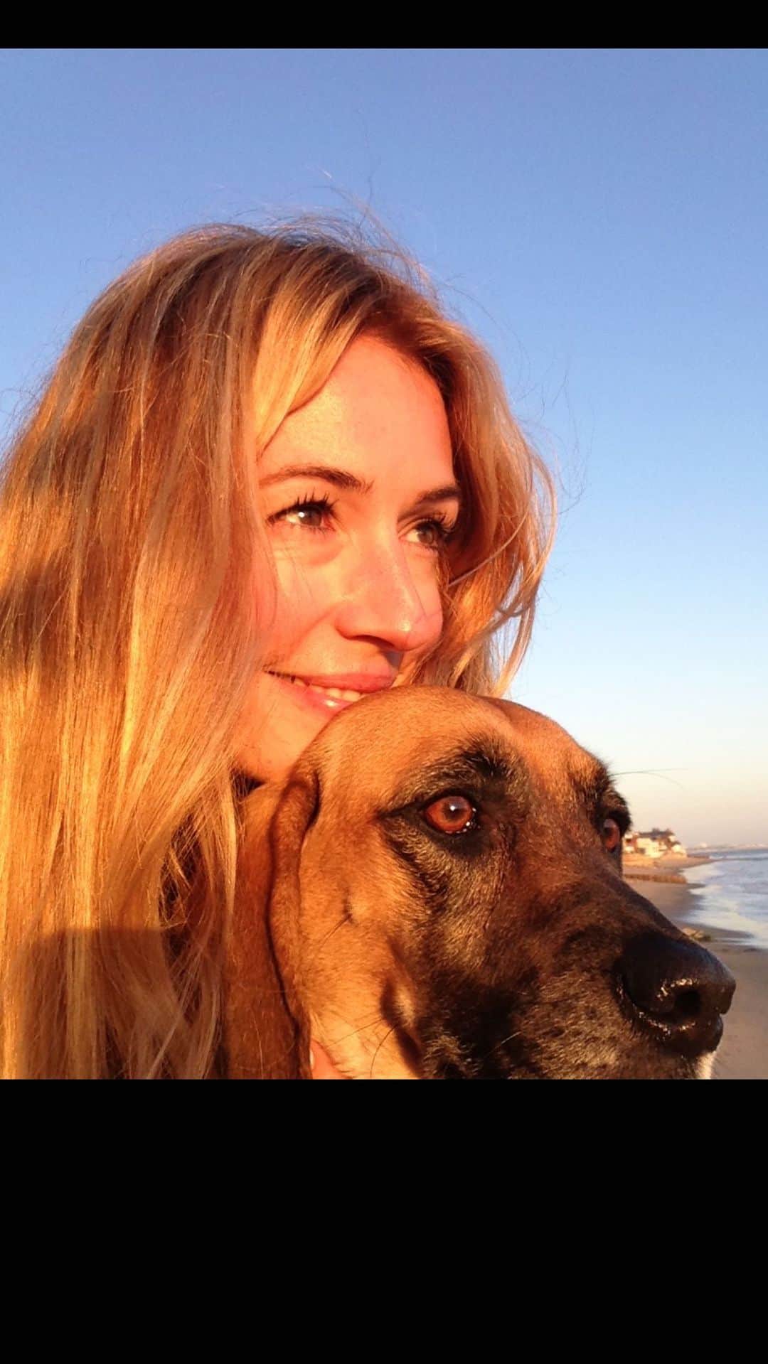 キャット・ディーリーのインスタグラム：「To our sweet Lilly… Thank you for being the best companion there ever was ❤️ Oh how we’ll miss you…  “Dogs’ lives are short, too short, but you know that going in. You know the pain is coming, you’re going to lose a dog, and there’s going to be great anguish, so you live fully in the moment with her, never fail to share her joy or delight in her innocence, because you can’t support the illusion that a dog can be your lifelong companion. There’s such beauty in the hard honesty of that, in accepting and giving love while always aware that it comes with an unbearable price.”  - Dean Koontz」