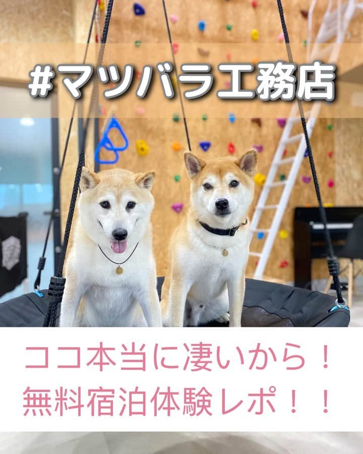 柴犬Mamesuke・Korosuke??大阪のインスタグラム：「🐱🐻👧🏻 🐾----*----*----*----*🐾 先日、宿泊してきたココ！ なんと、無料で泊まれるんです！ その理由をご説明します✋🏻 ． ここは、株式会社松原工務店さん。 そして、この建物はモデルルーム🏠 お家を建てたい方や、リフォームしたい方などに見てもらう為のお家😊 でも、お家って、その快適さや、逆にこんな物があったらいいなーなど、実際に泊まってみないと分からないですよね。 そこで、マツバラ工務店さんは、無料宿泊体験を実施しております！ ． ペットに特化した、#ドマ楽　とゆうエリアには、遊べたり、バーベキューしたり、長いドッグランがあるお家。 もう一つは、寝泊まりできる、快適なお家。 この二つのお家を体験できるんです！ 私たち家族、豆コロを始め、チャリちゃんも大人もめちゃくちゃ楽しめました🥰 これ、有料にしてもいいレベル、、、。 また泊まりに行きたいなー☺️ お家をリフォームしたり建てたい人、是非体験してみて下さい❤️ @matsubarakoumuten @farmers_origin #マツバラ工務店 #ファーマーズオリジン #宿泊体験 #モデルルーム見学 🐾----*----*----*----*🐾 #MameKoro #豆コロ #柴犬と子供 #犬と子供 #チャリちゃん見守り隊 #子守犬 #豆柴 #柴犬 #赤柴 #豆介 #コロ介 #shibagram #shibastagram #shibainu #shiba #🐕📷」