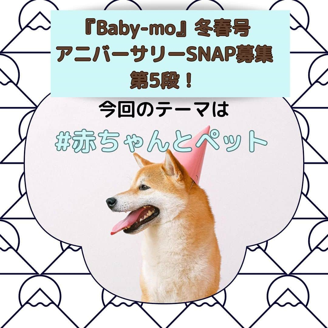 premo-babymoさんのインスタグラム写真 - (premo-babymoInstagram)「. \アニバーサリーSNAP募集♡第5弾/  マタニティ・育児誌『Baby-mo(ベビモ)』では 誌面に掲載する＃アニバーサリー SNAPを大募集中です！  今回のテーマは #赤ちゃんと犬  #赤ちゃんと猫 #赤ちゃんとペット   など、ペットとの仲良しショット！ 0〜2歳、当時のお写真でもOKです♡  ご応募いただいたお写真は、2023年11月に発売される 『Baby-mo』に掲載予定♡ ※掲載させていただくかたのみに、主婦の友社 ベビモ編集部の担当者よりＤＭにてご連絡させていただきます。  応募方法は ① #赤ちゃんと犬  #赤ちゃんと猫 #赤ちゃんとペット   など、撮影したシーンのハッシュタグをつける  ② #ベビモに載りたい  のハッシュタグをつけて投稿！  ③ 撮影シーンのエピソードもあわせて投稿すると掲載率がUPするかも♡  たくさんのご応募お待ちしております  #ベビモ #babymo #赤ちゃんのいる生活 #赤ちゃんのいる暮らし #イライラしない子育て #育児あるある #アニバーサリーフォト #バースデー #ハーフバースデー #雑誌デビュー #モデルデビュー #赤ちゃんモデル」9月12日 10時26分 - premo.babymo