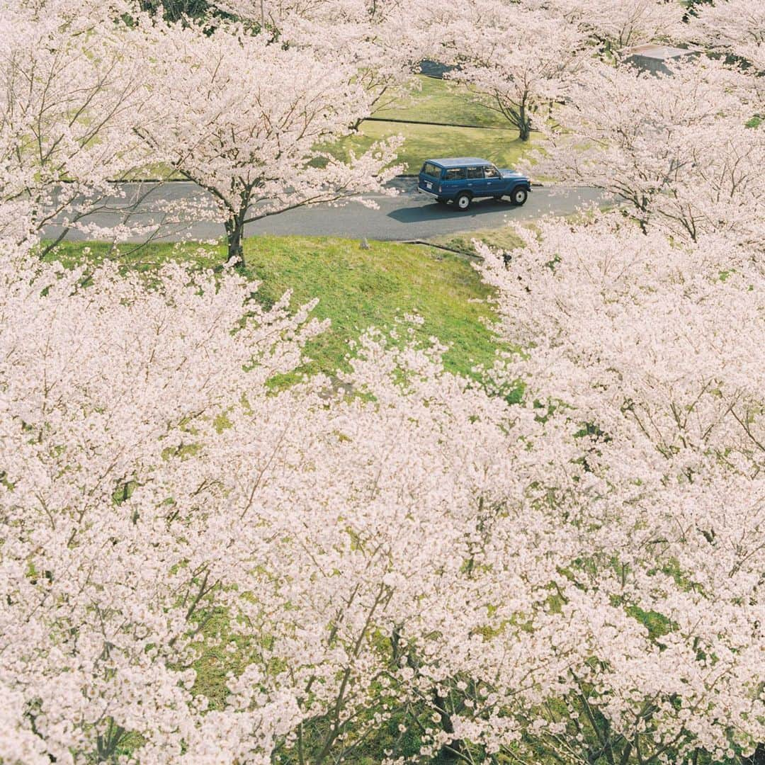 濱田英明のインスタグラム：「#青い車, 2022-2023 #pentax67」