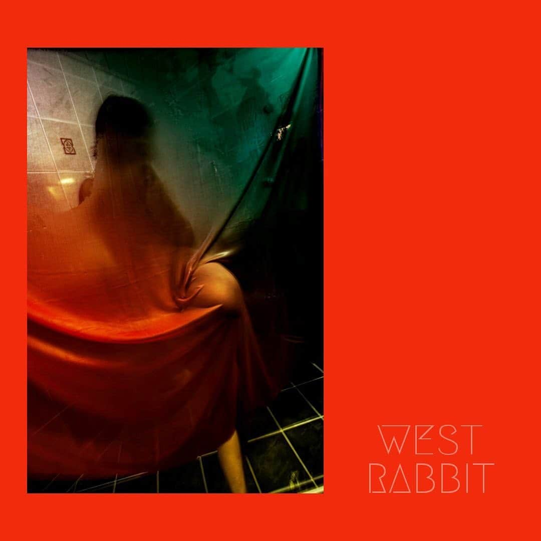 峰のりえのインスタグラム：「Photo @west.rabbit2   明日からスタート！！！  のりえもん展2nd 2発目は京橋の @gallery_room305  です！  在廊予定はこんな感じです！ 是非遊びに来てくださいー✨✨✨  13日 14:00-20:00 14日　不在 15日18:00-20:00 16日14:00-18:00 17日12:00-18:00  『のりえもん展』 2023.09.13-9.17 水-土わ14〜20※最終入場19:30 日12〜18※最終入場17:30  モデル、フォトグラファー、スタジオ運営、タレントとマルチに活躍する「のりえもん」を撮影した11名の写真を展示します。  ■以降の予定 BEATS gallery 10/11-15 PHOTO BAR ZERO 11/14-19 富士フイルム gallery 12/20-25 and more  会場をイメージした毎回違う photographerで構成された写真展です。  【出店者】 かおる @kaorunakamu  kumami @kumamiland  JOG Ohji @osaka.earth.wanderers  TAKA NAITO @taka_nt  中村　享均  西ノ兎 @west.rabbit2  Nobuyuki lgarashi  Hiroshi sugiyama @hirocameraman  hiroyon @amakoba  ホイキシュウ @hoikisyu  mappy-photo @photomappy  Nobuyuki lgarashi @nobuyuki.1967」