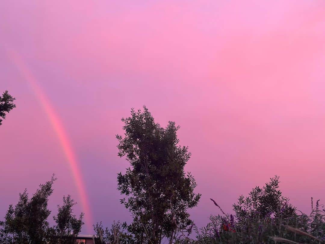 ジェシカ・アルバのインスタグラム：「🦄 #SoCal #sunset」