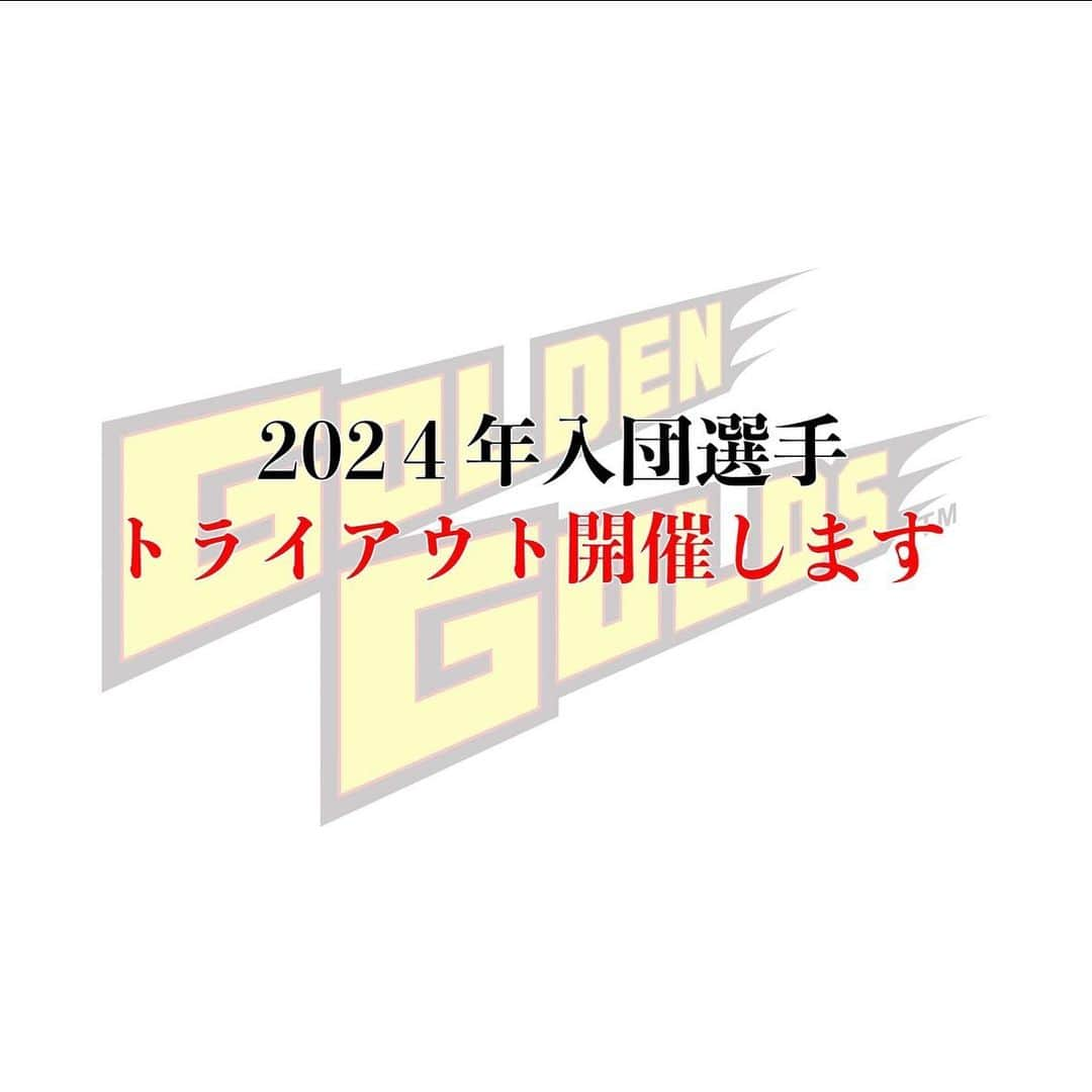 片岡安祐美のインスタグラム：「⚾️🏟️  茨城ゴールデンゴールズ 2024年度入団選手トライアウトを行います！！  2023年9月23日24日 (どちらか1日の参加でOK) ※予備日は9月30日予定 桜川総合運動公園野球場 (茨城県稲敷市柏木4-5)  エントリーは @ibarakigoldengolds_official プロフィールより 茨城ゴールデンゴールズHPからお願いします。  硬式野球、やりましょう！！！💪🏻  #社会人野球  #クラブチーム  #茨城ゴールデンゴールズ  #トライアウト」