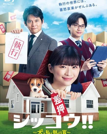 シッコウ!!〜犬と私と執行官〜のインスタグラム：「📀 ／ 『シッコウ!!～犬と私と執行官～』 Blu-ray＆DVD発売決定✨ ＼ ⁡ 特典映像には、 盛りだくさんの映像を収録予定🐶 詳細は随時お知らせしますので、お楽しみに✨ ⁡ 2024年2月14日発売です🐾 詳しくは番組HPへ！ ⁡ #伊藤沙莉 #中島健人 #SexyZone #織田裕二」